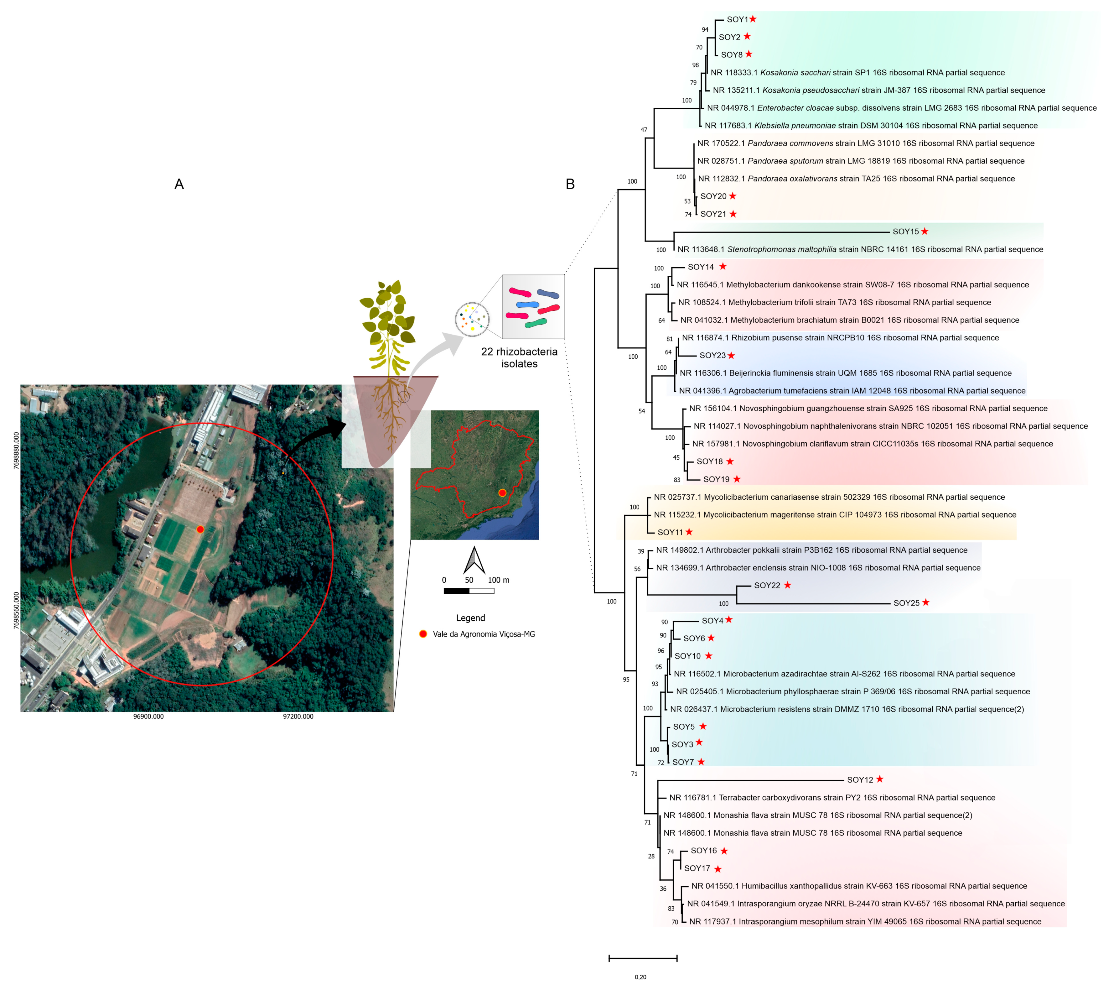 Microorganisms 11 00300 g001 Microorganisms 11 00300 g001