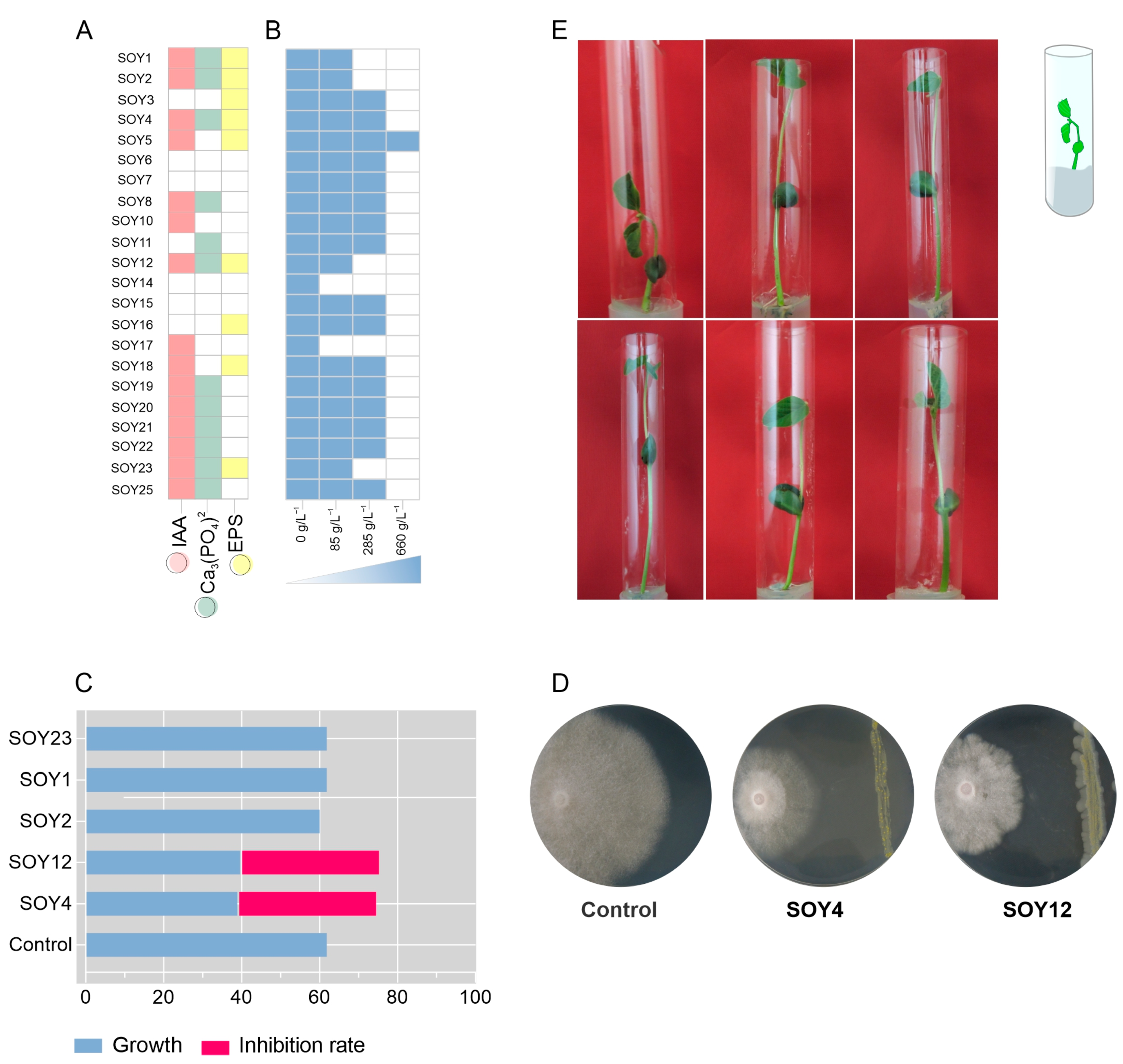 Microorganisms 11 00300 g002 Microorganisms 11 00300 g002