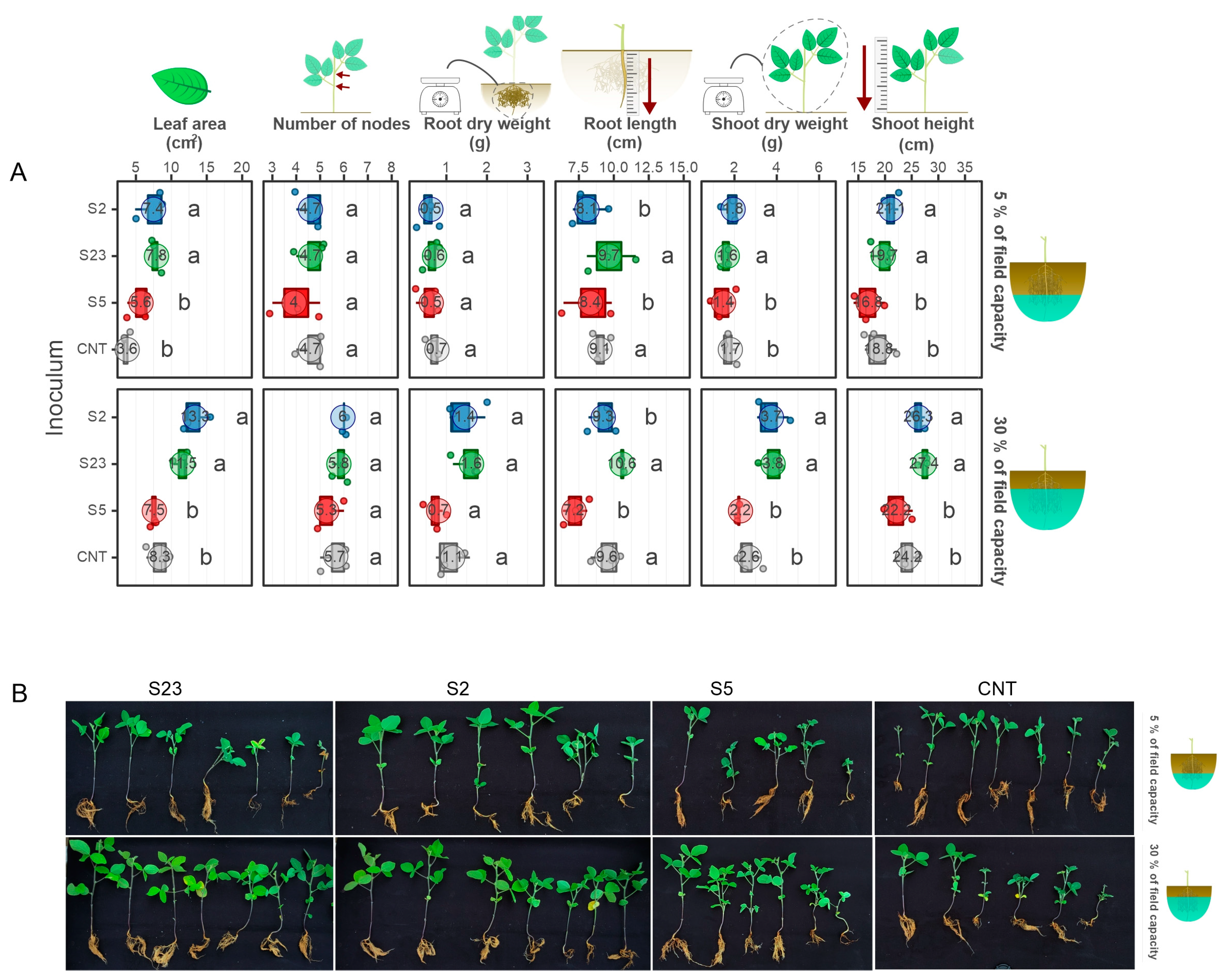 Microorganisms 11 00300 g003 Microorganisms 11 00300 g003