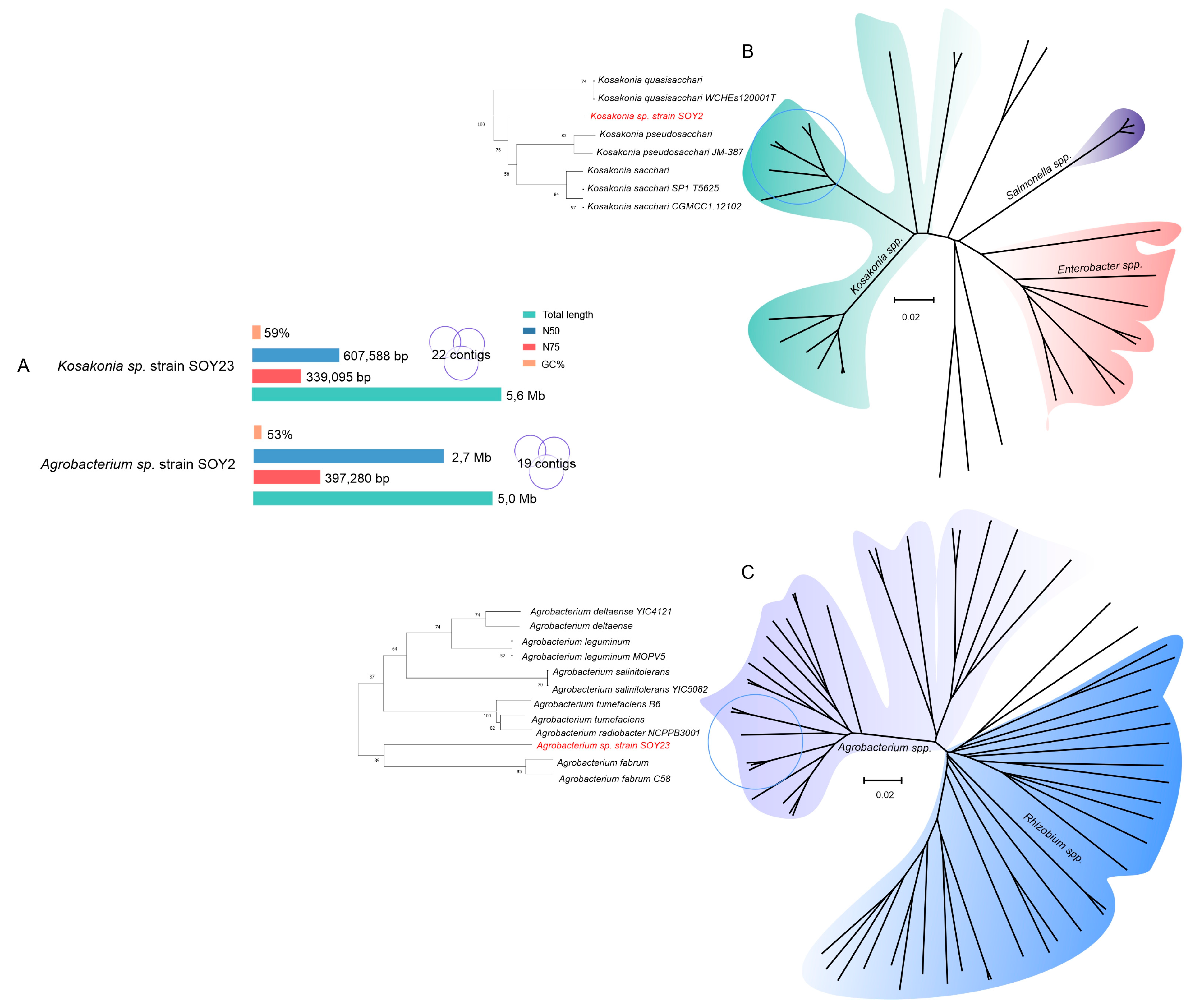 Microorganisms 11 00300 g004 Microorganisms 11 00300 g004
