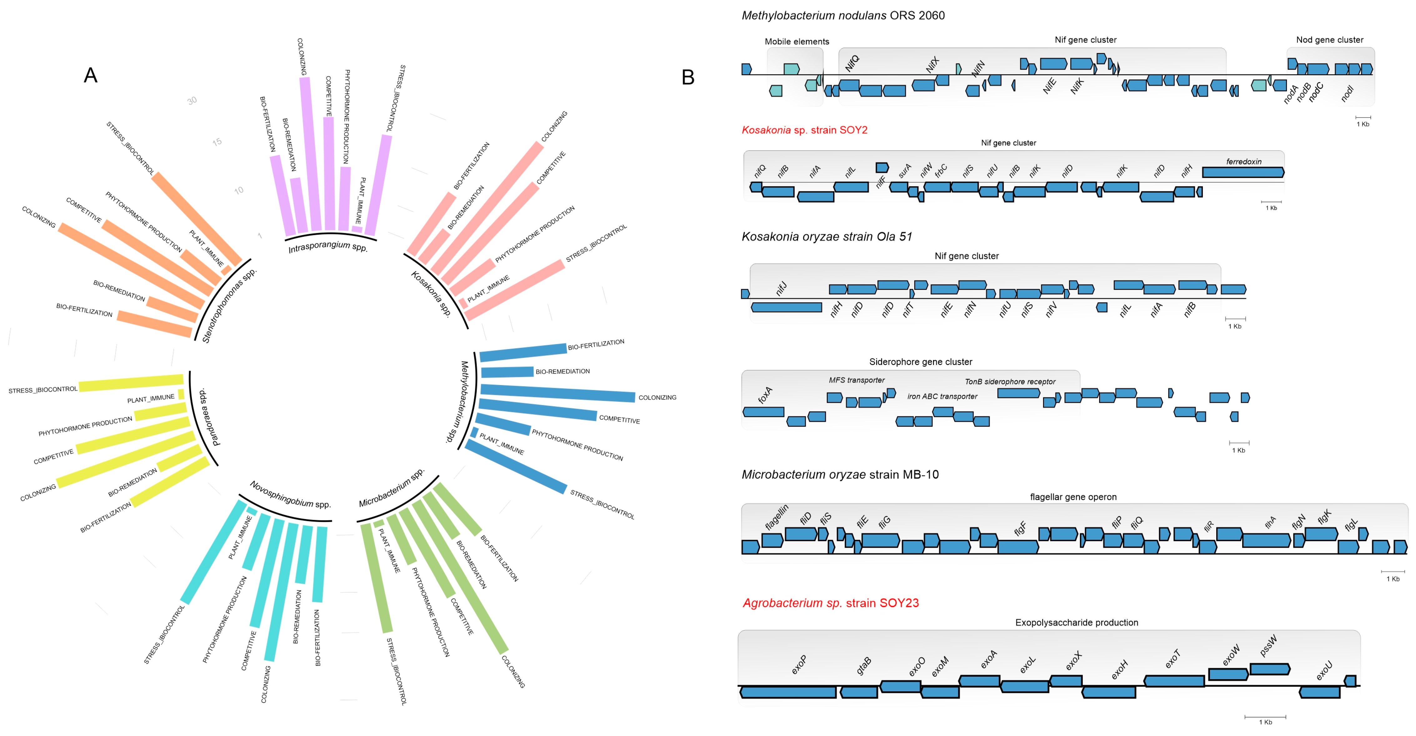 Microorganisms 11 00300 g005 Microorganisms 11 00300 g005
