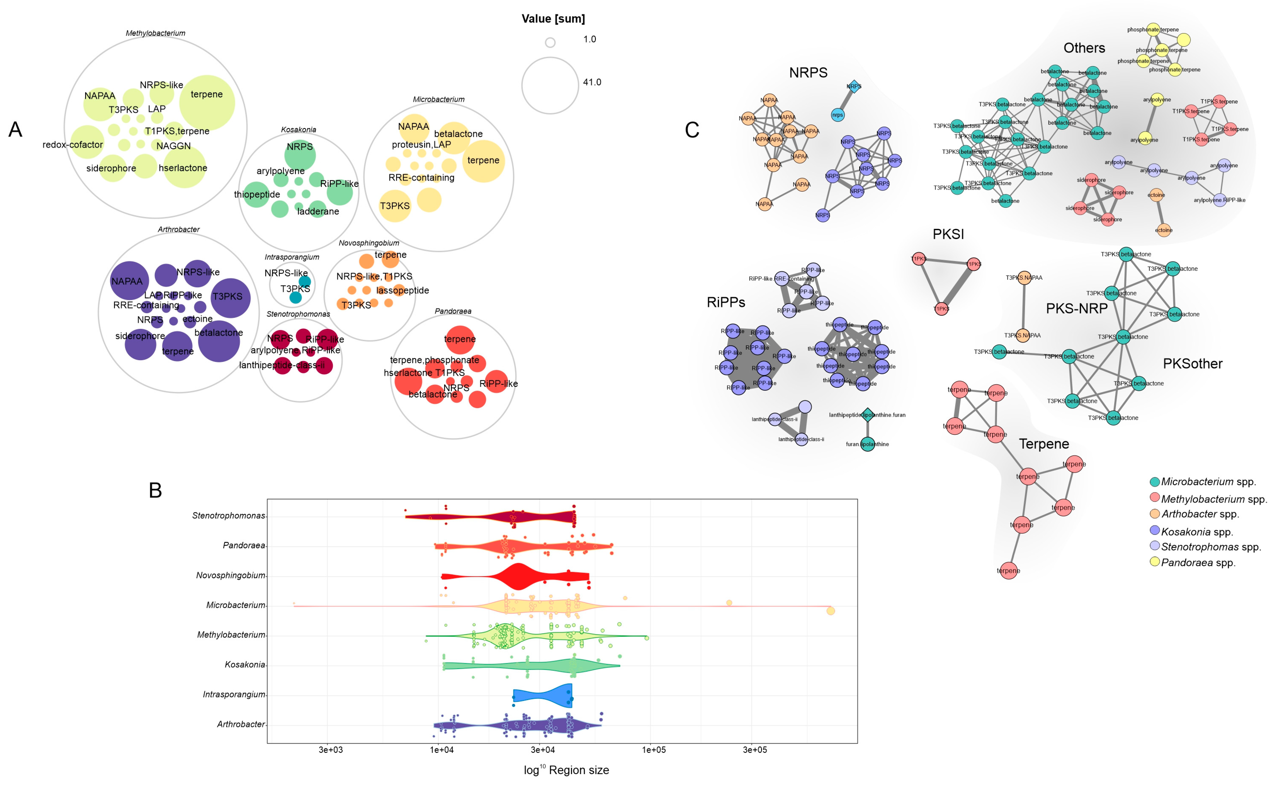 Microorganisms 11 00300 g006 Microorganisms 11 00300 g006