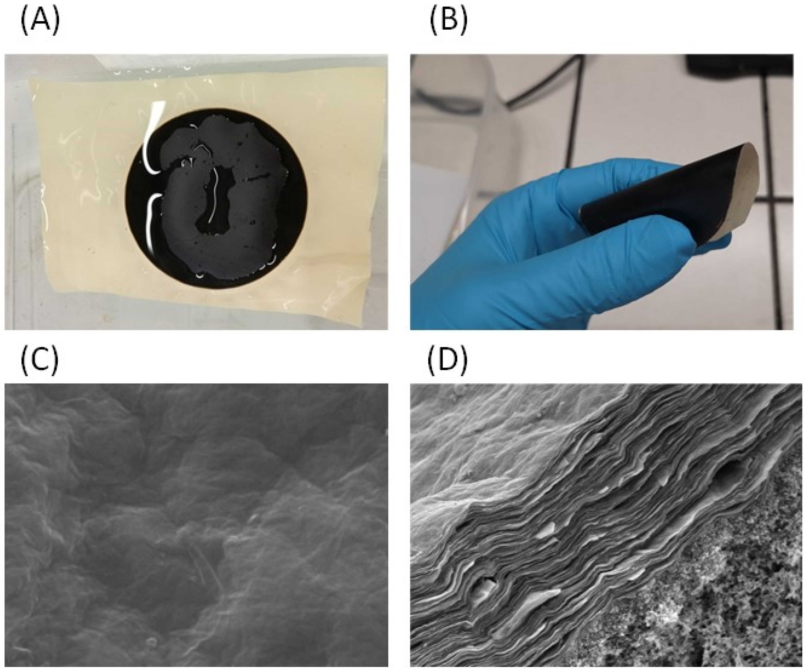 Microorganisms 11 00310 g003 Microorganisms 11 00310 g003
