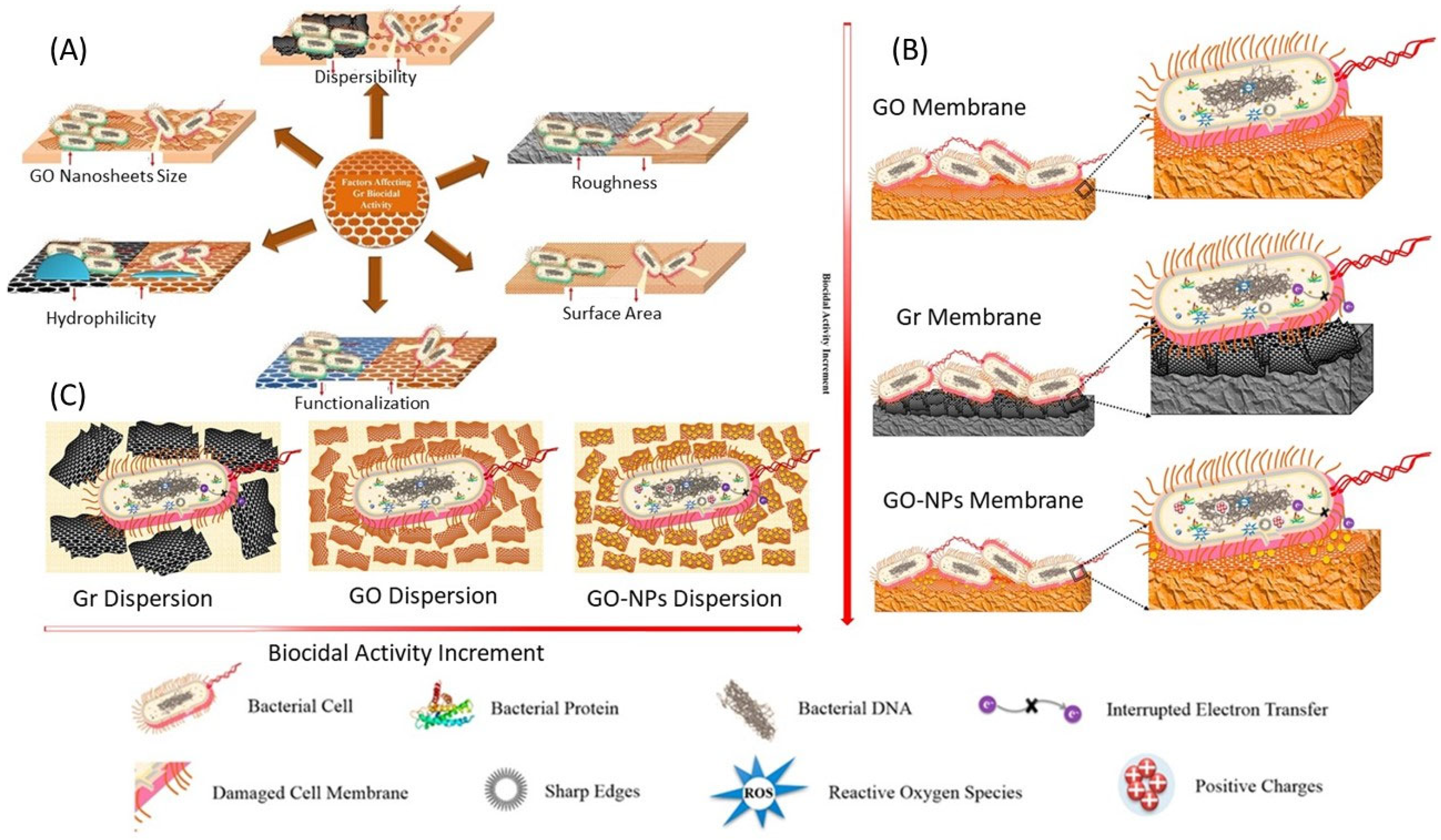Microorganisms 11 00310 g005 Microorganisms 11 00310 g005