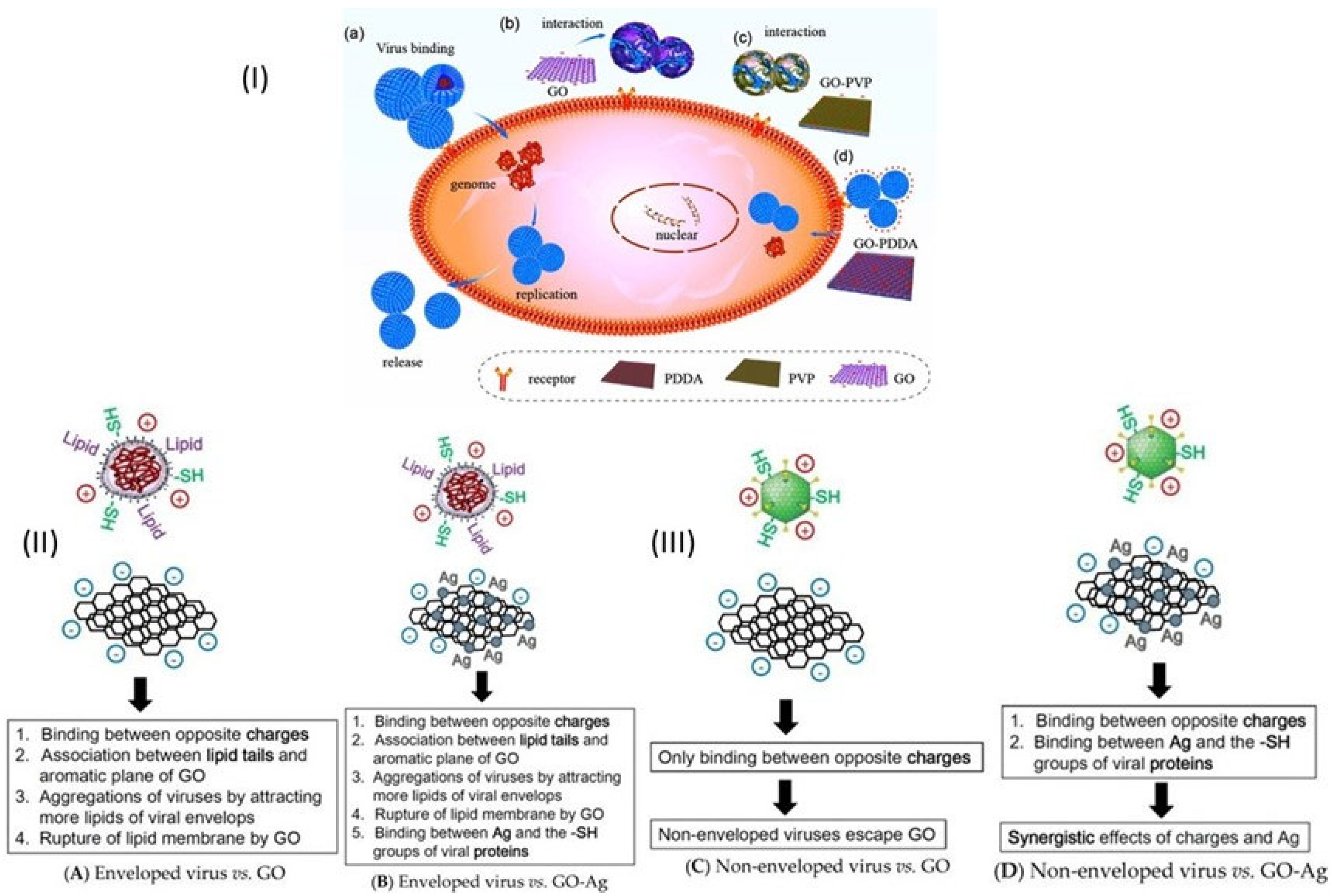 Microorganisms 11 00310 g006 Microorganisms 11 00310 g006