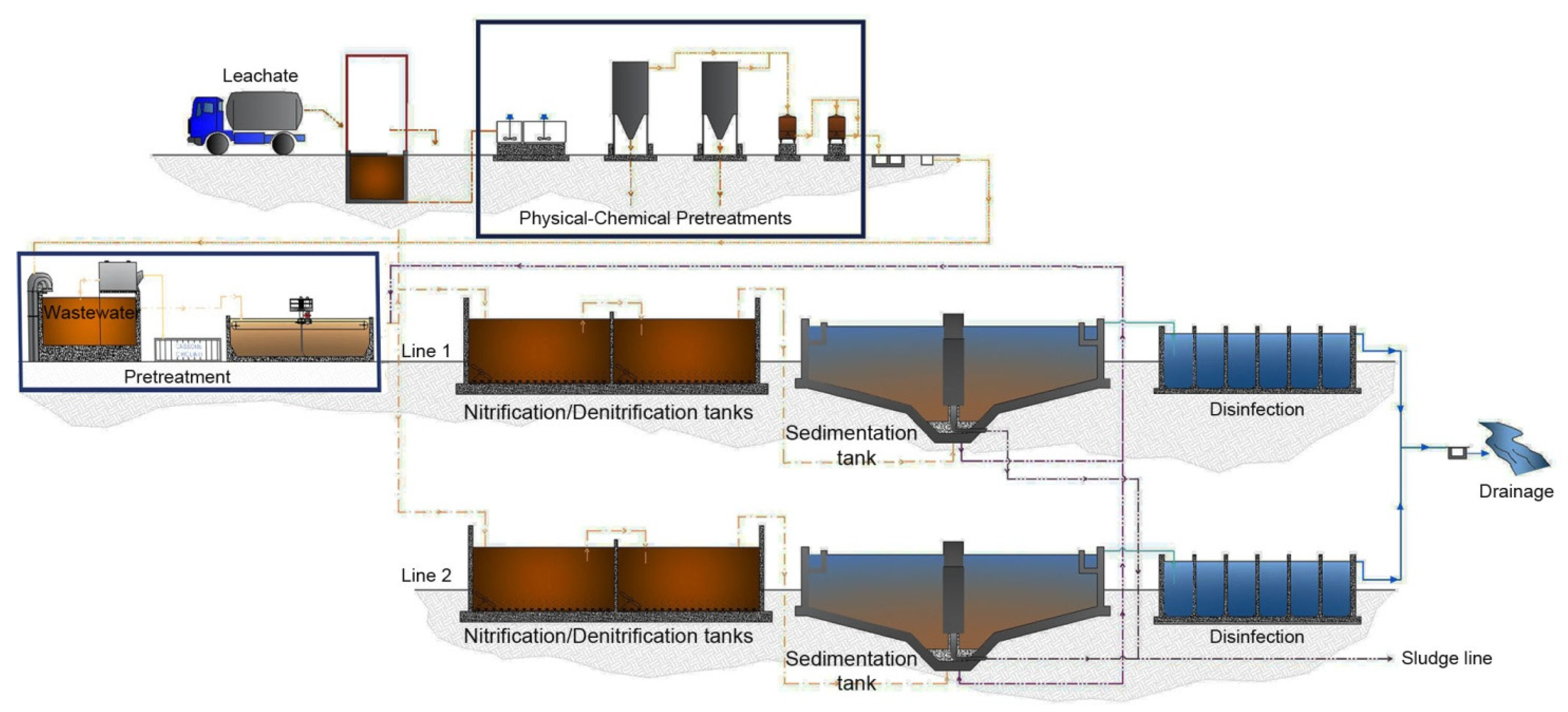 Microorganisms 11 00311 g001 Microorganisms 11 00311 g001