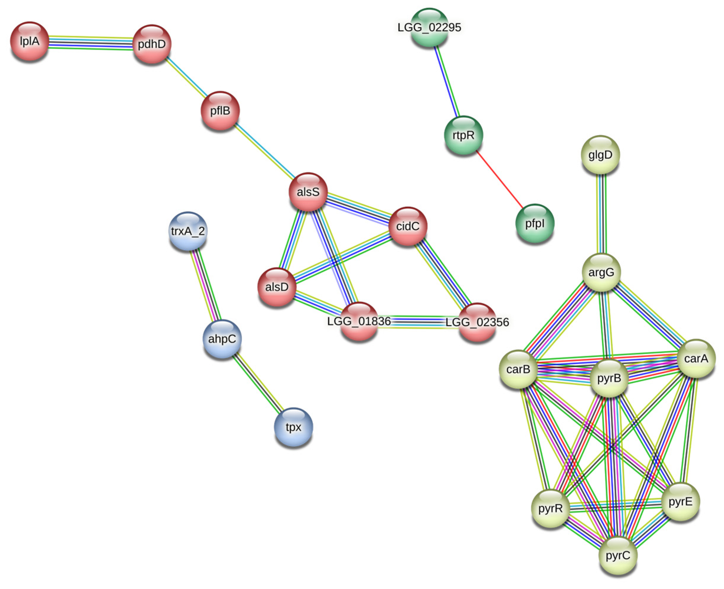 Microorganisms 11 00313 g001