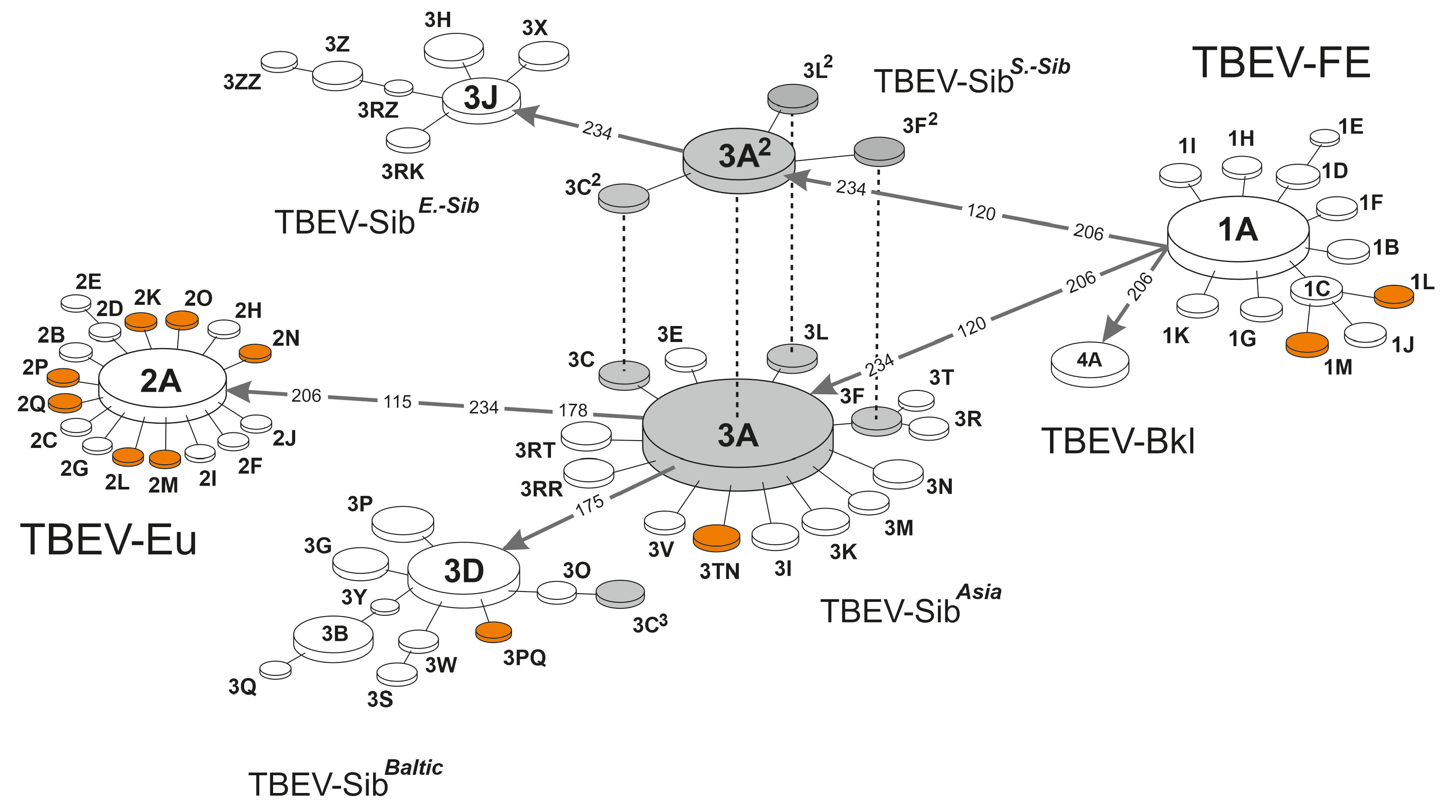 Microorganisms 11 00324 g002 Microorganisms 11 00324 g002