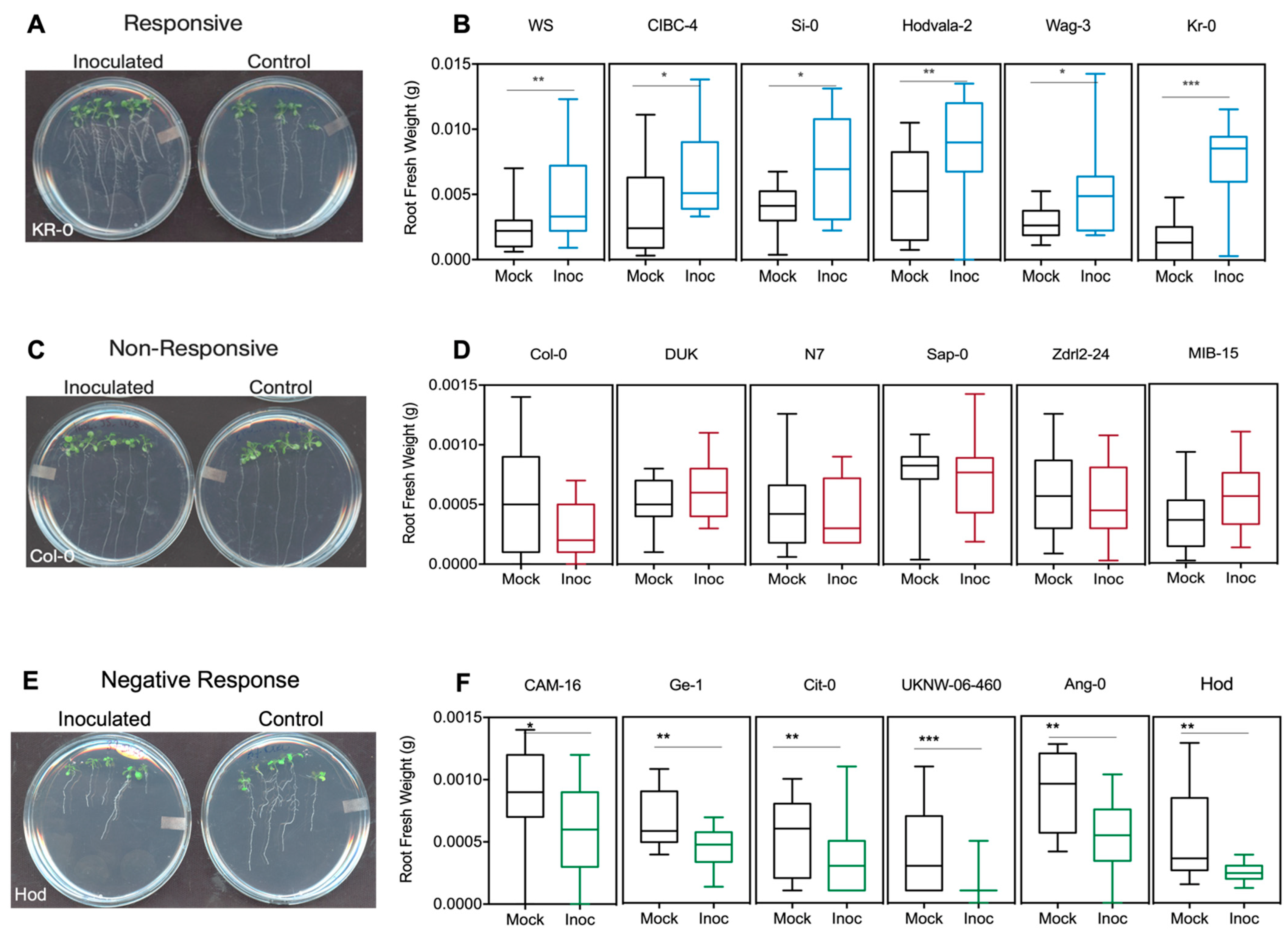 Microorganisms 11 00331 g003 Microorganisms 11 00331 g003
