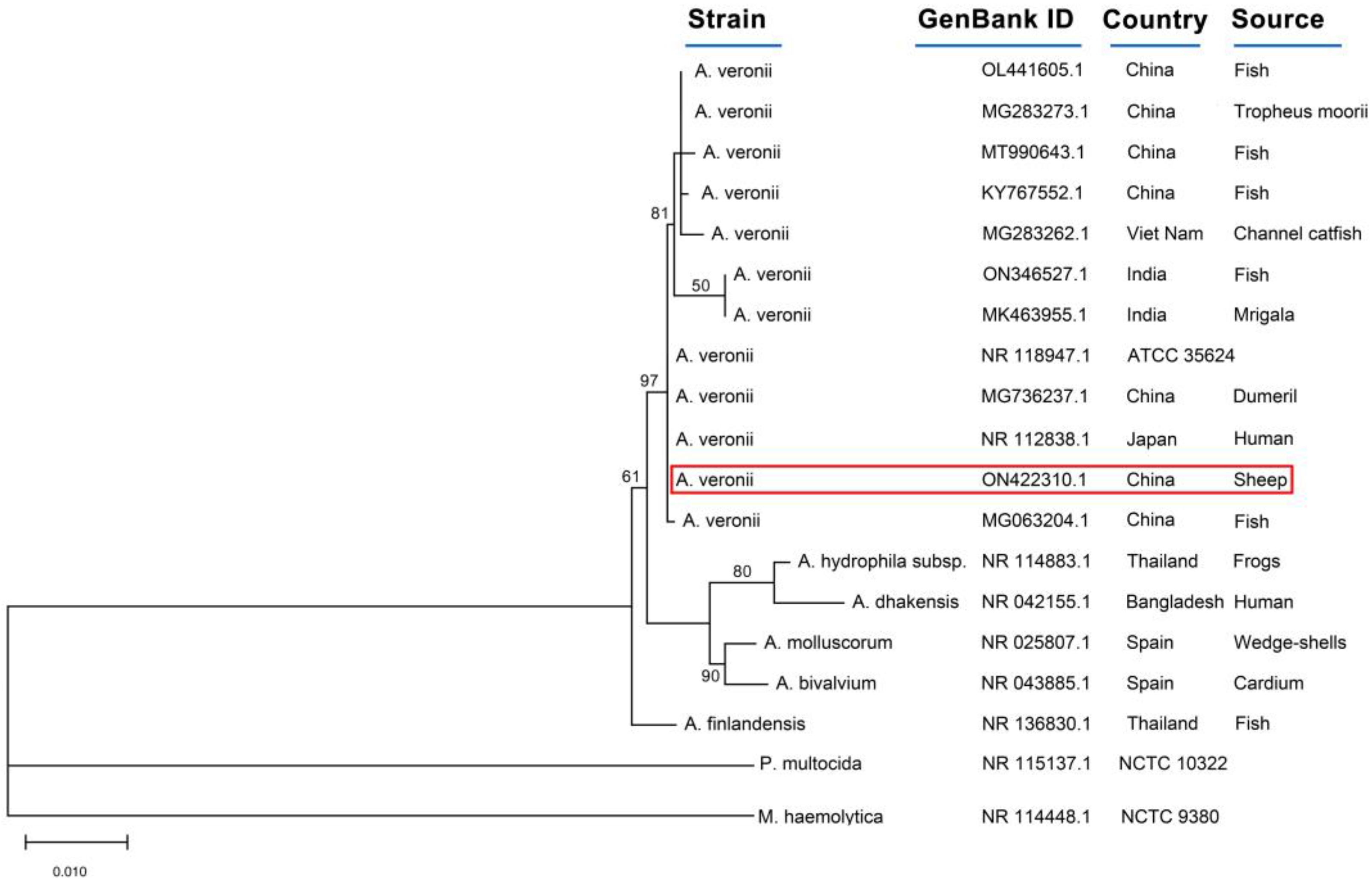 Microorganisms 11 00333 g004 Microorganisms 11 00333 g004