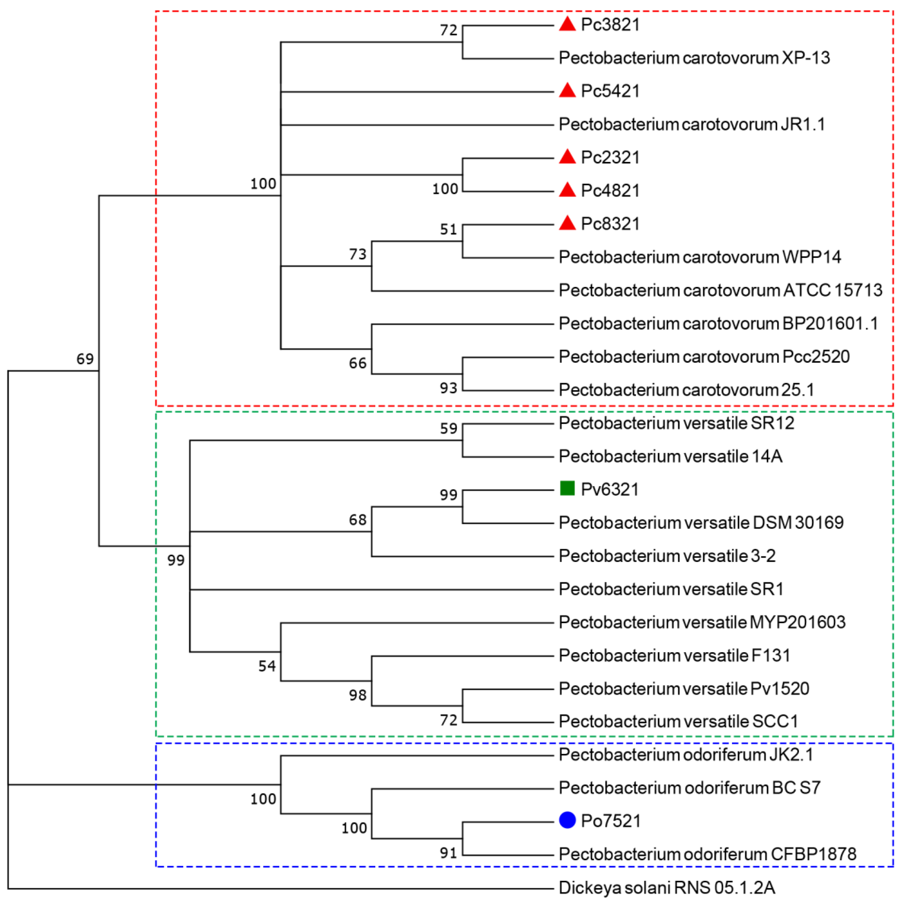 Microorganisms 11 00335 g002