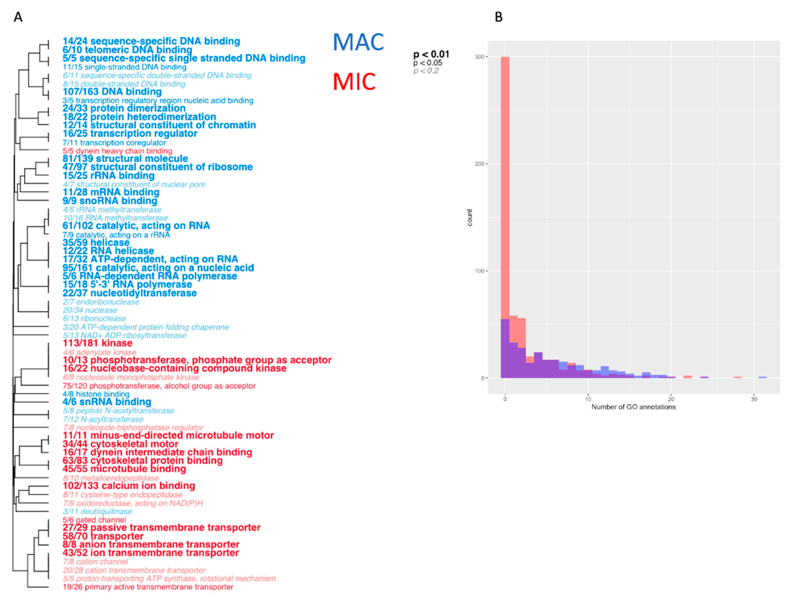 Microorganisms 11 00343 g002