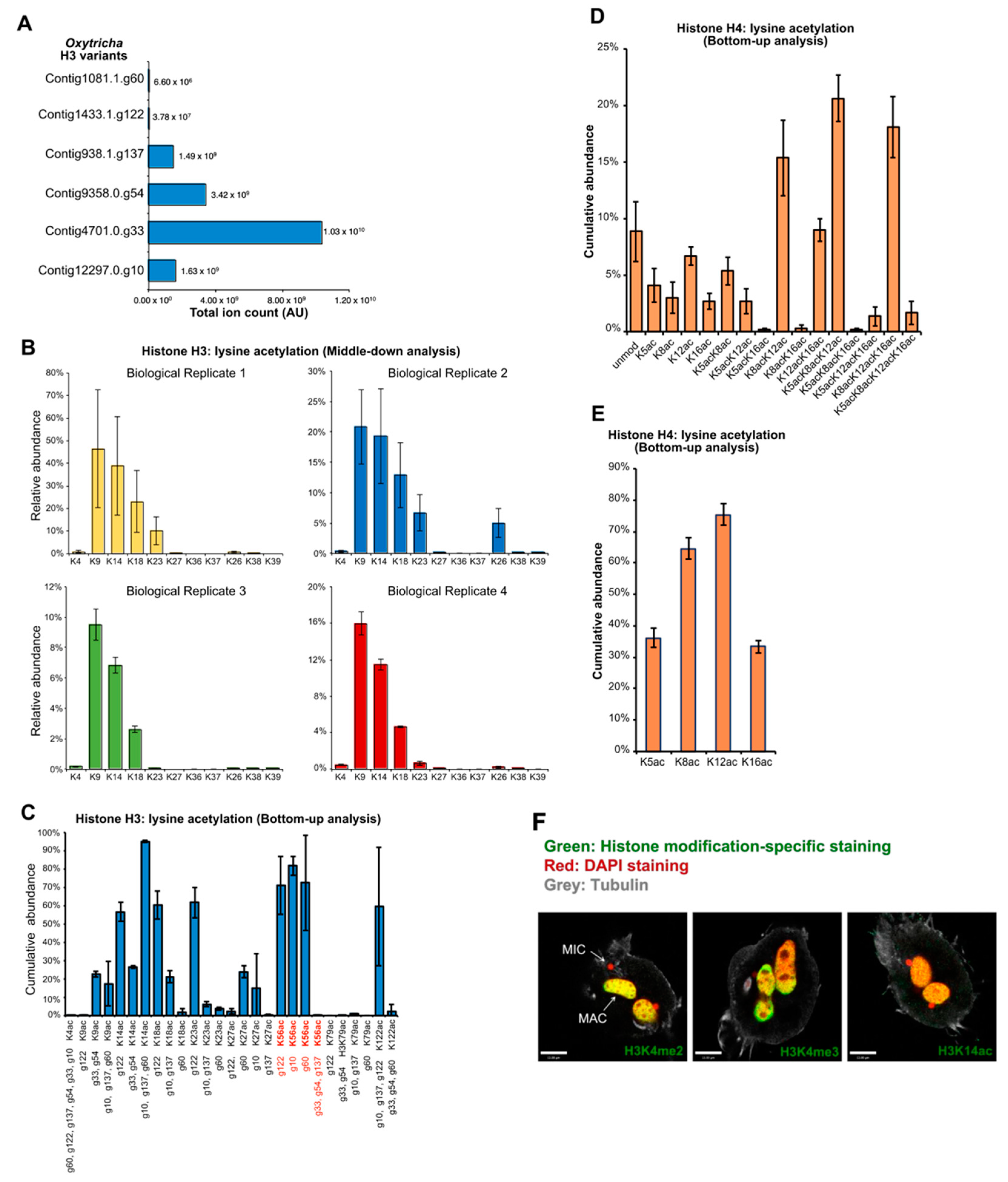 Microorganisms 11 00343 g004