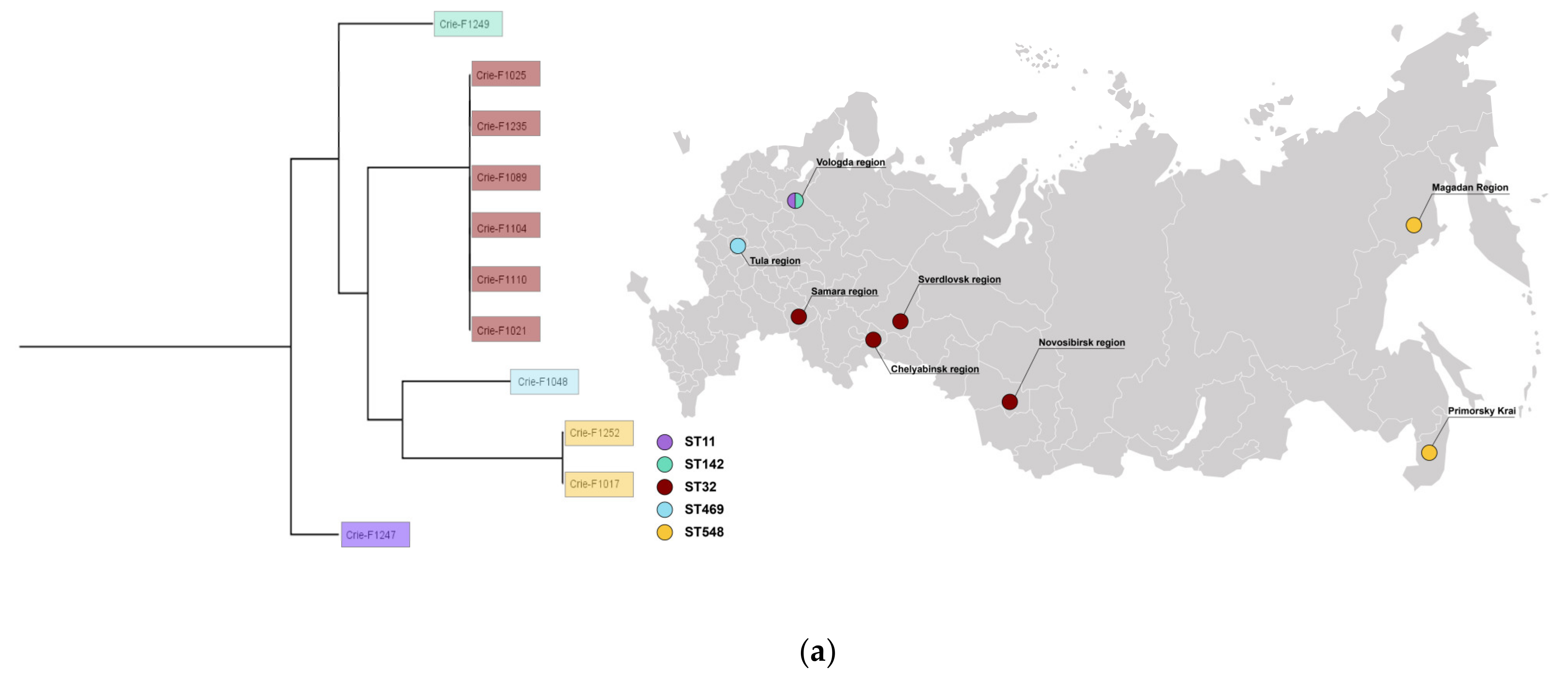 Microorganisms 11 00347 g001a
