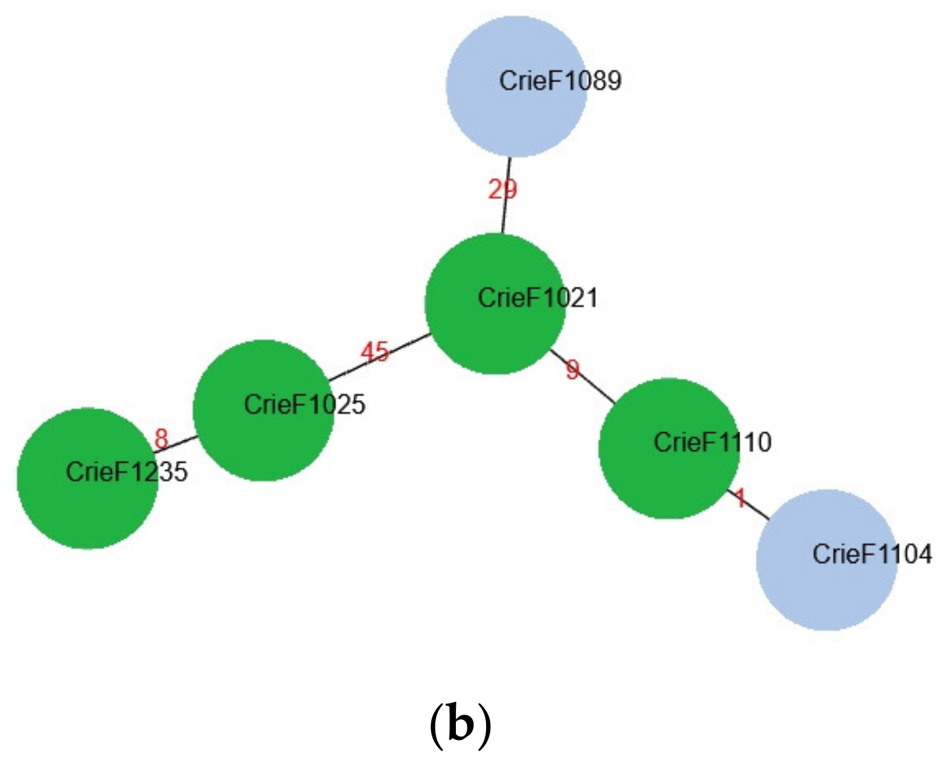 Microorganisms 11 00347 g001b