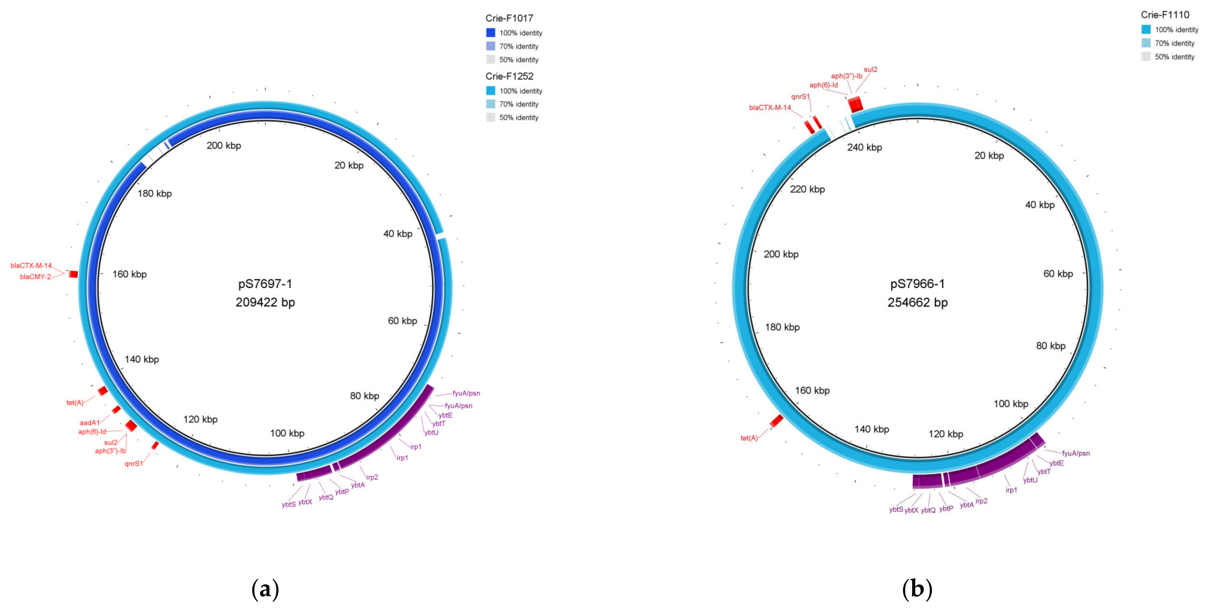 Microorganisms 11 00347 g003