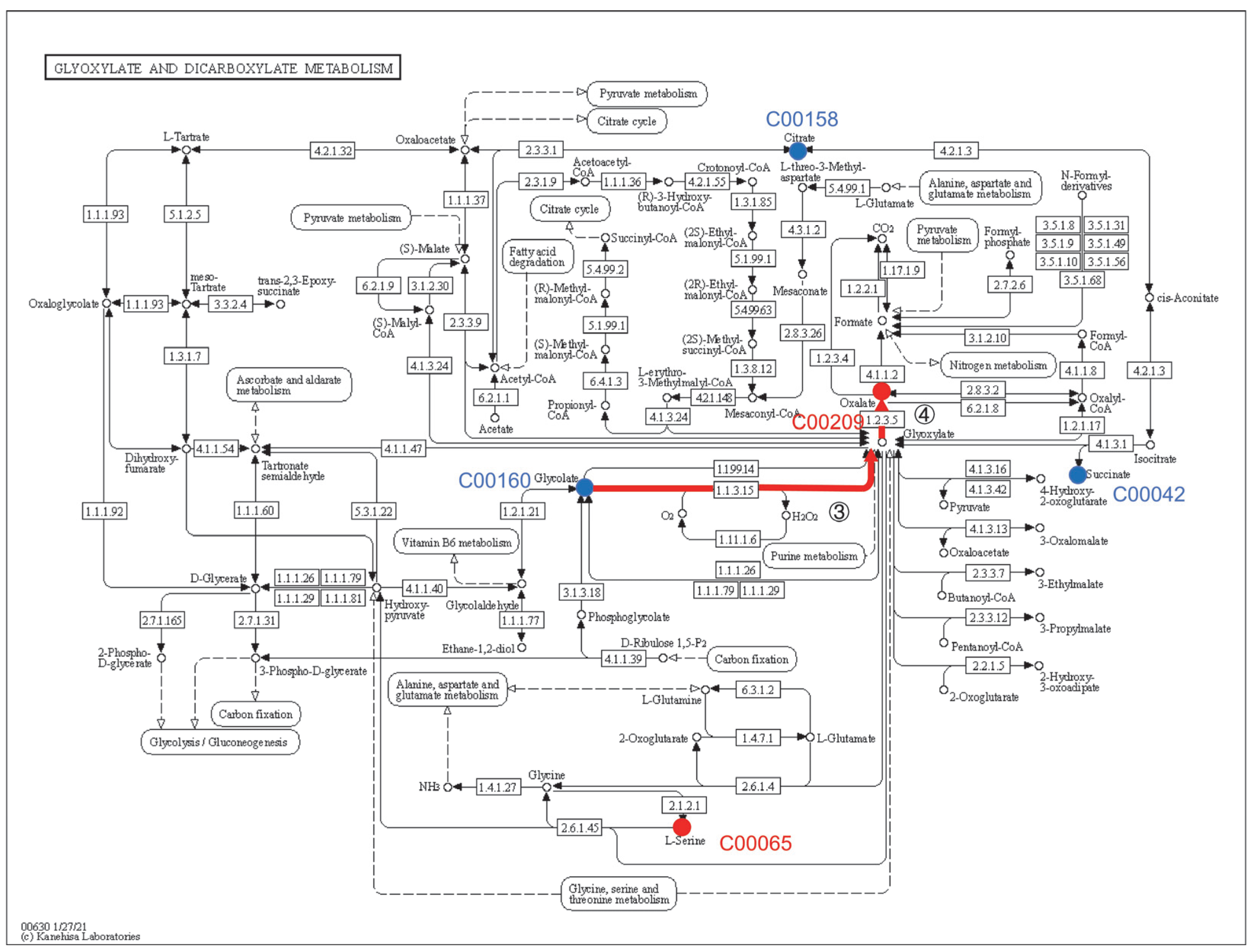 Microorganisms 11 00356 g005 Microorganisms 11 00356 g005