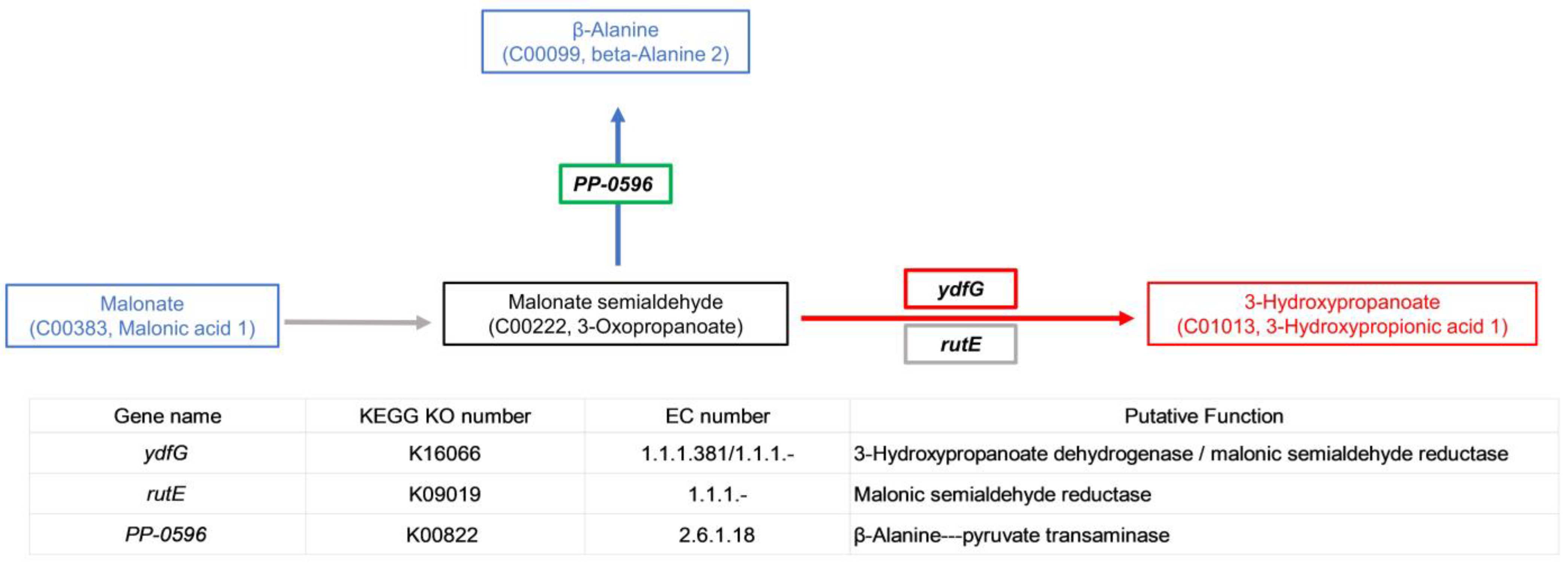 Microorganisms 11 00356 g007 Microorganisms 11 00356 g007