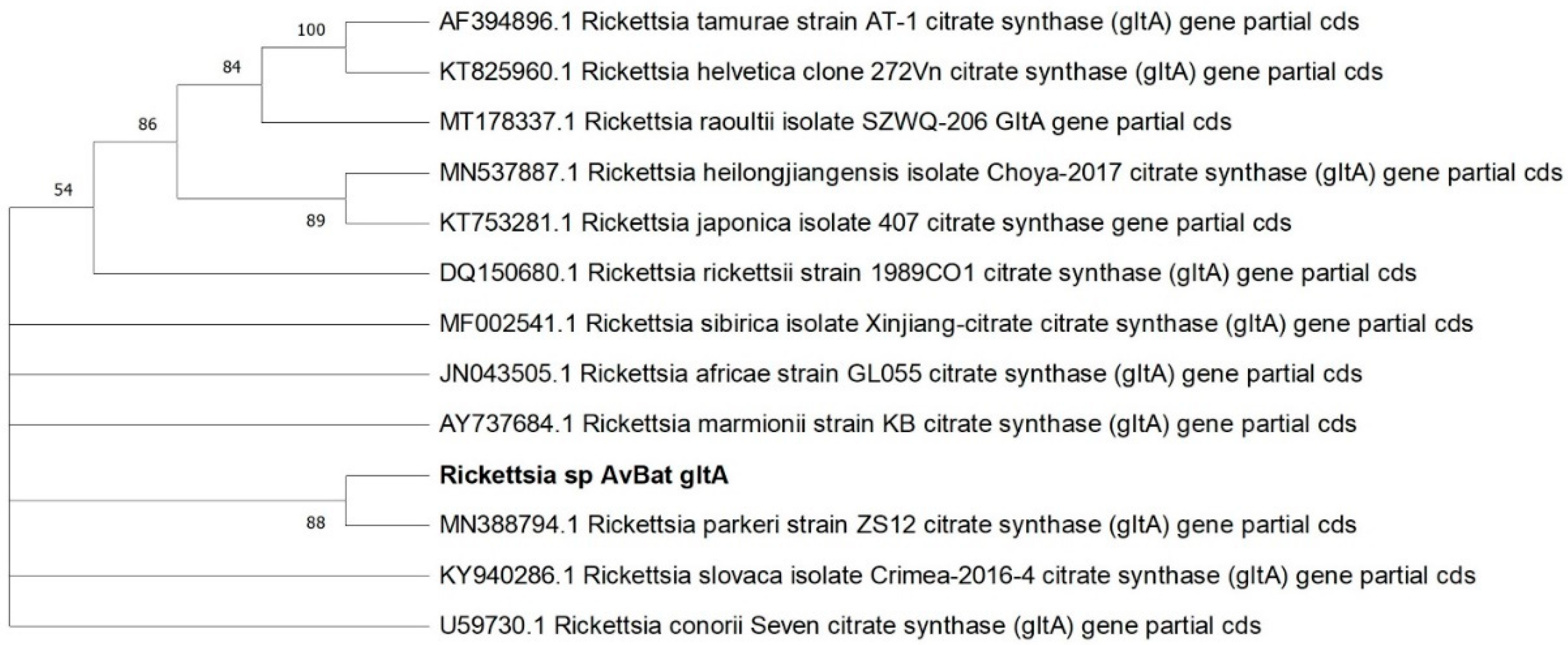 Microorganisms 11 00357 g001