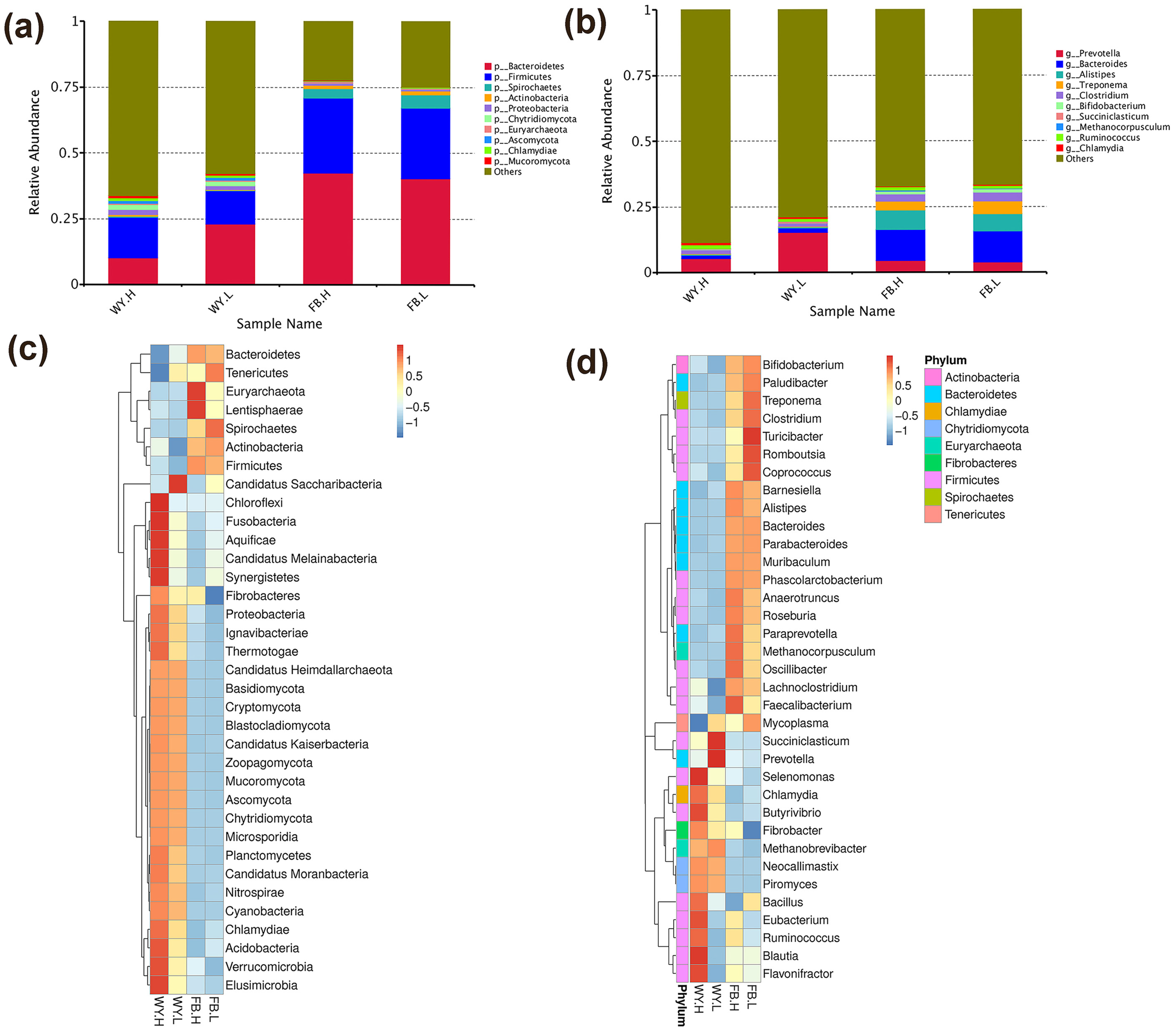 Microorganisms 11 00358 g001 Microorganisms 11 00358 g001