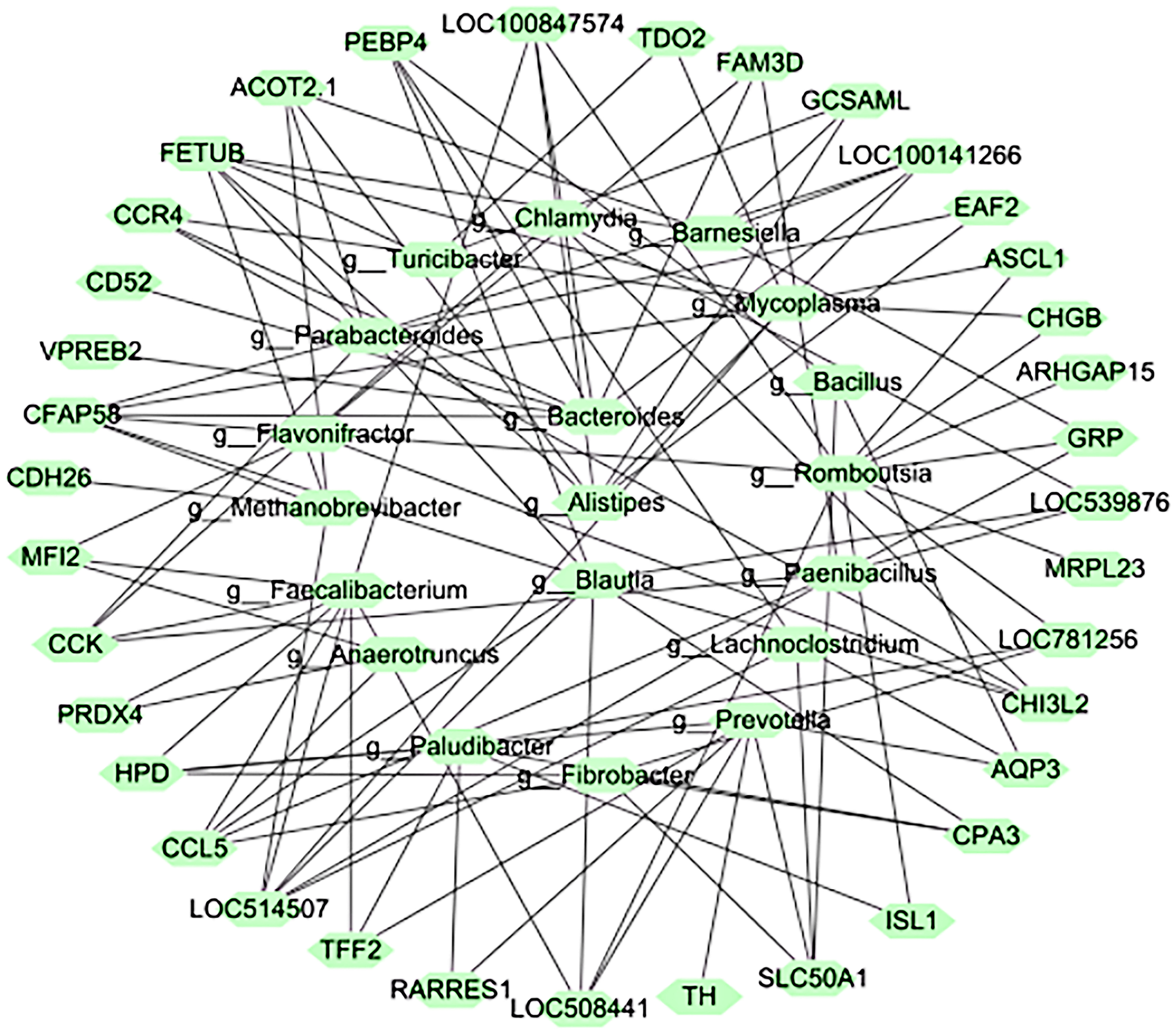 Microorganisms 11 00358 g005 Microorganisms 11 00358 g005