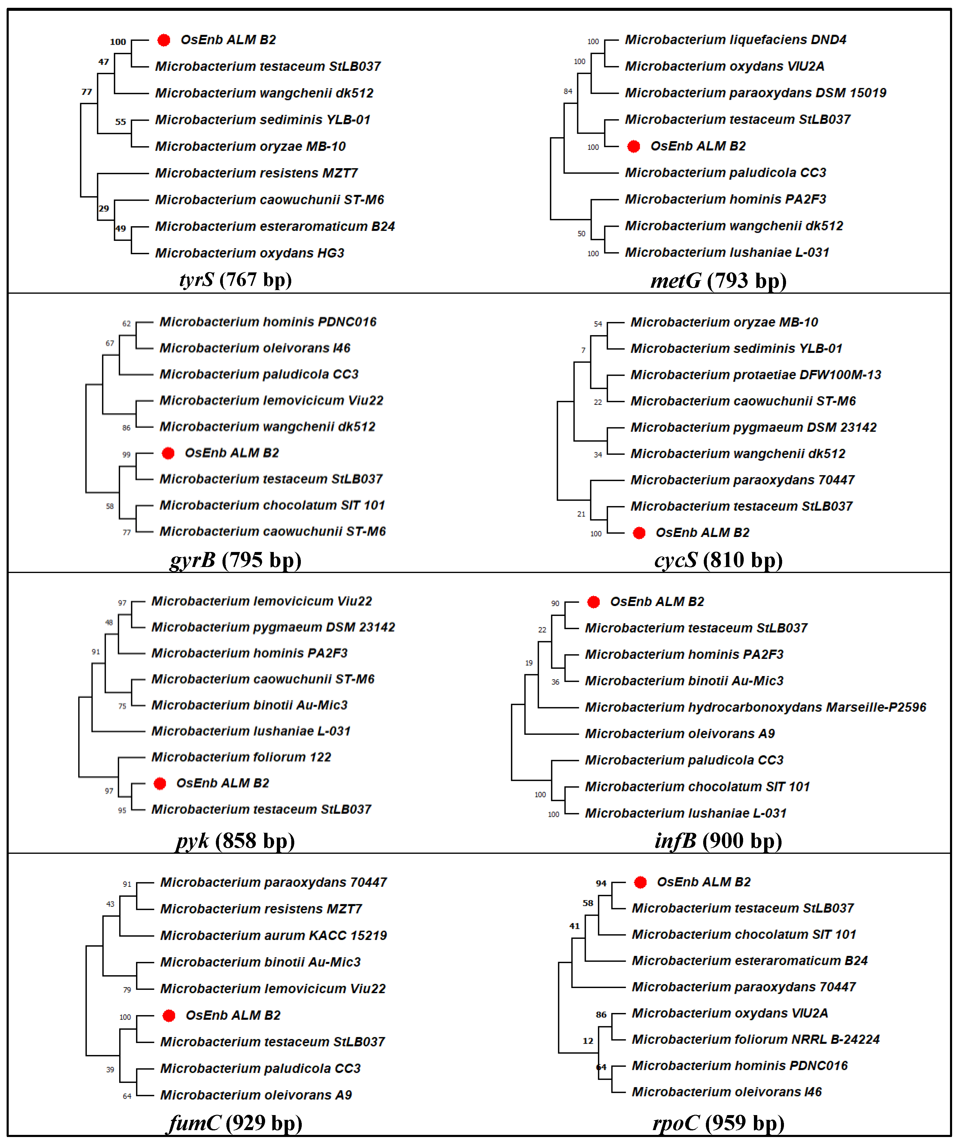 Microorganisms 11 00362 g001 Microorganisms 11 00362 g001
