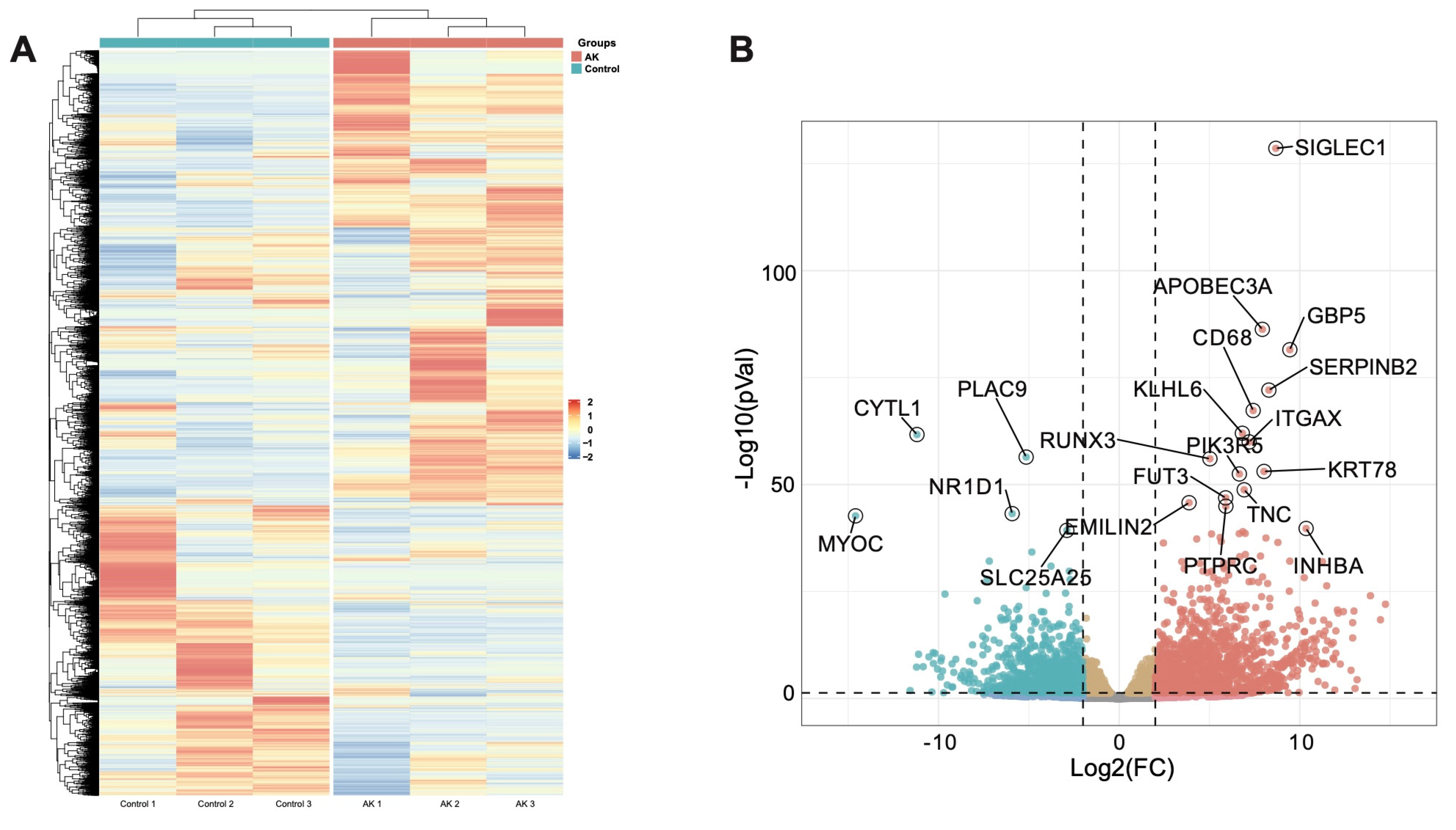 Microorganisms 11 00365 g002