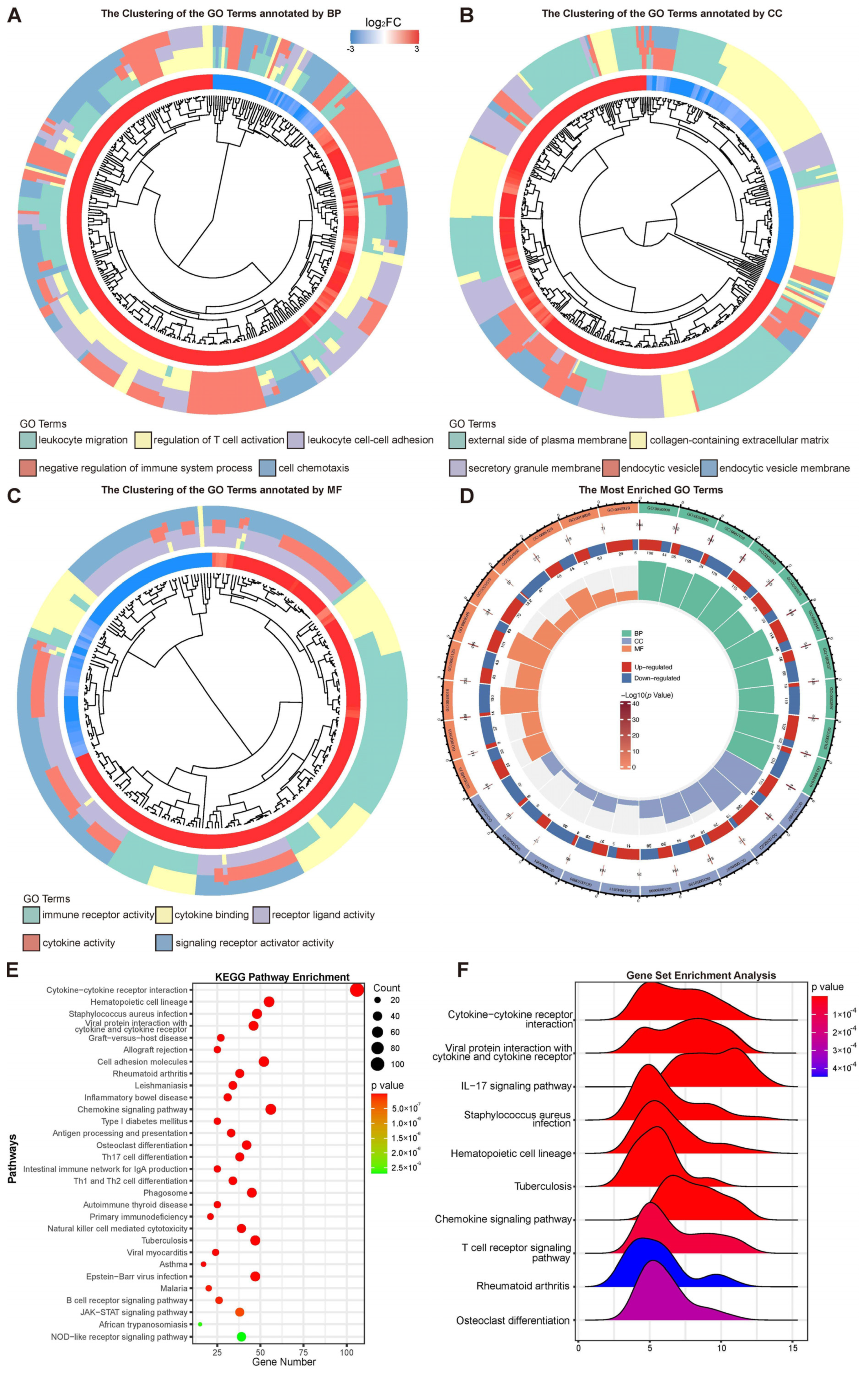 Microorganisms 11 00365 g003