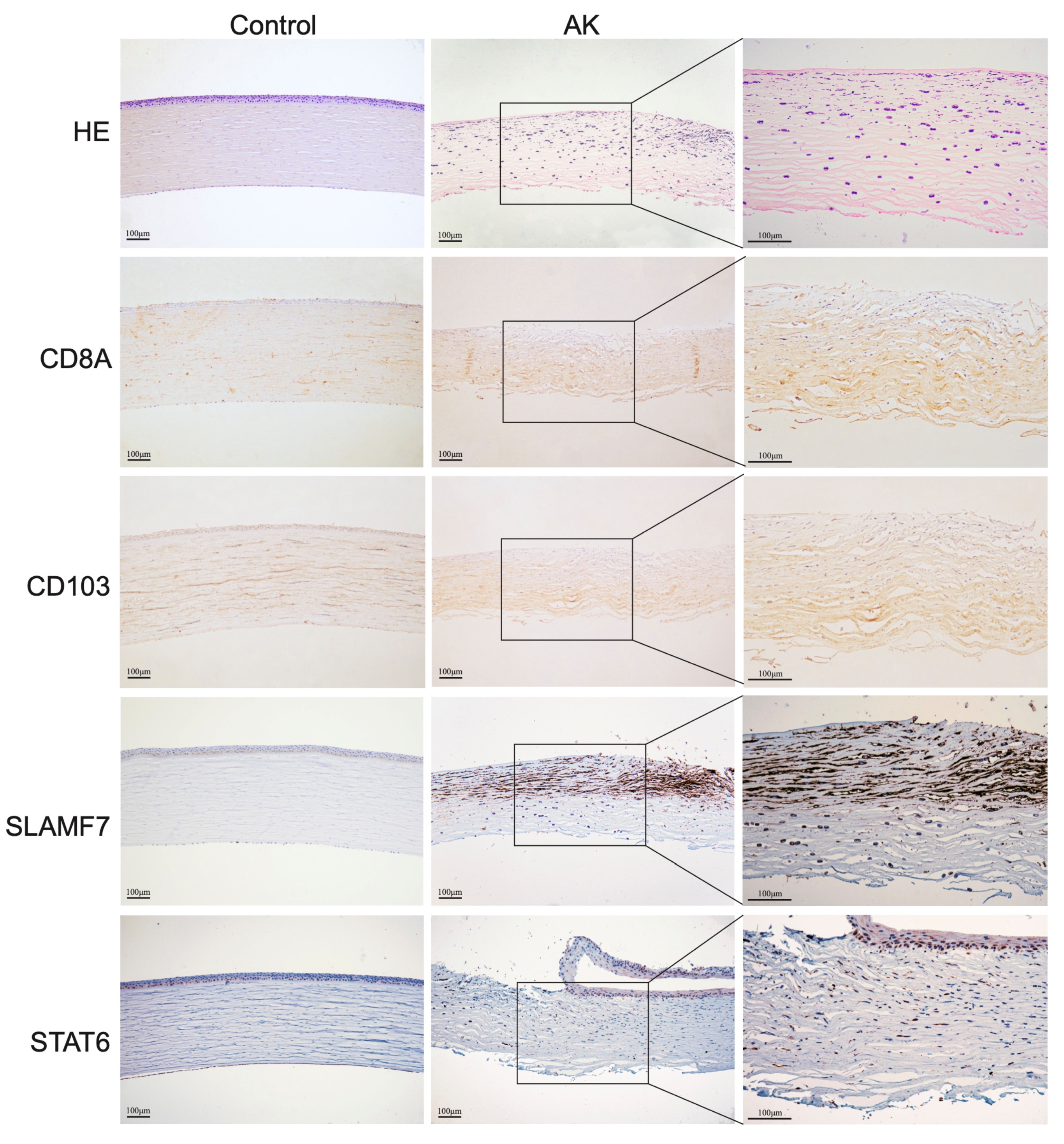 Microorganisms 11 00365 g005