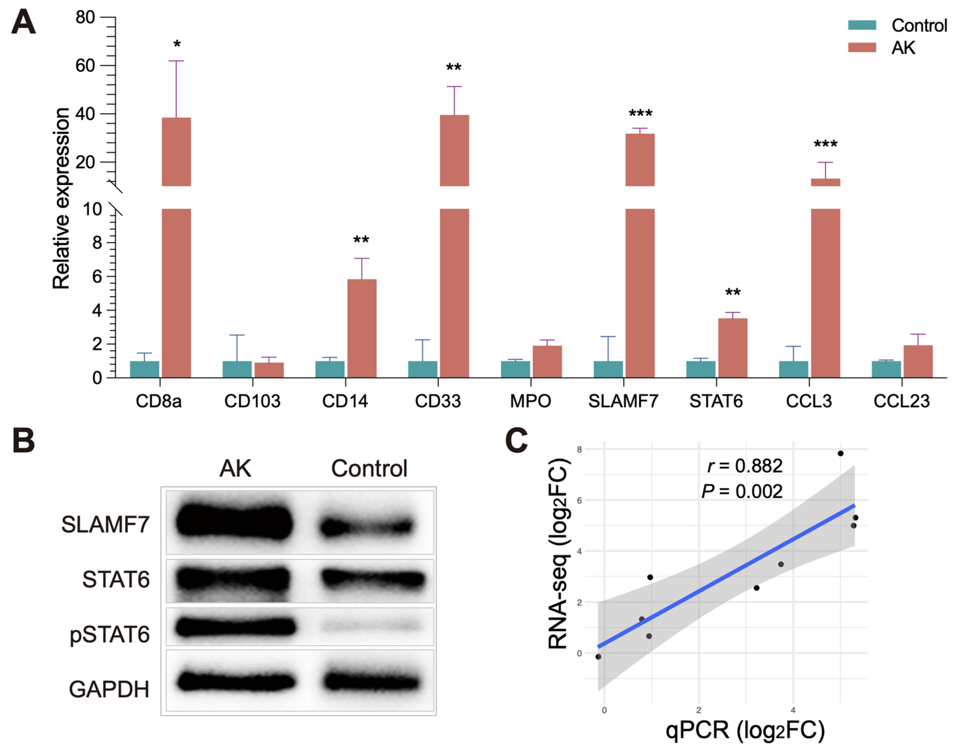 Microorganisms 11 00365 g006