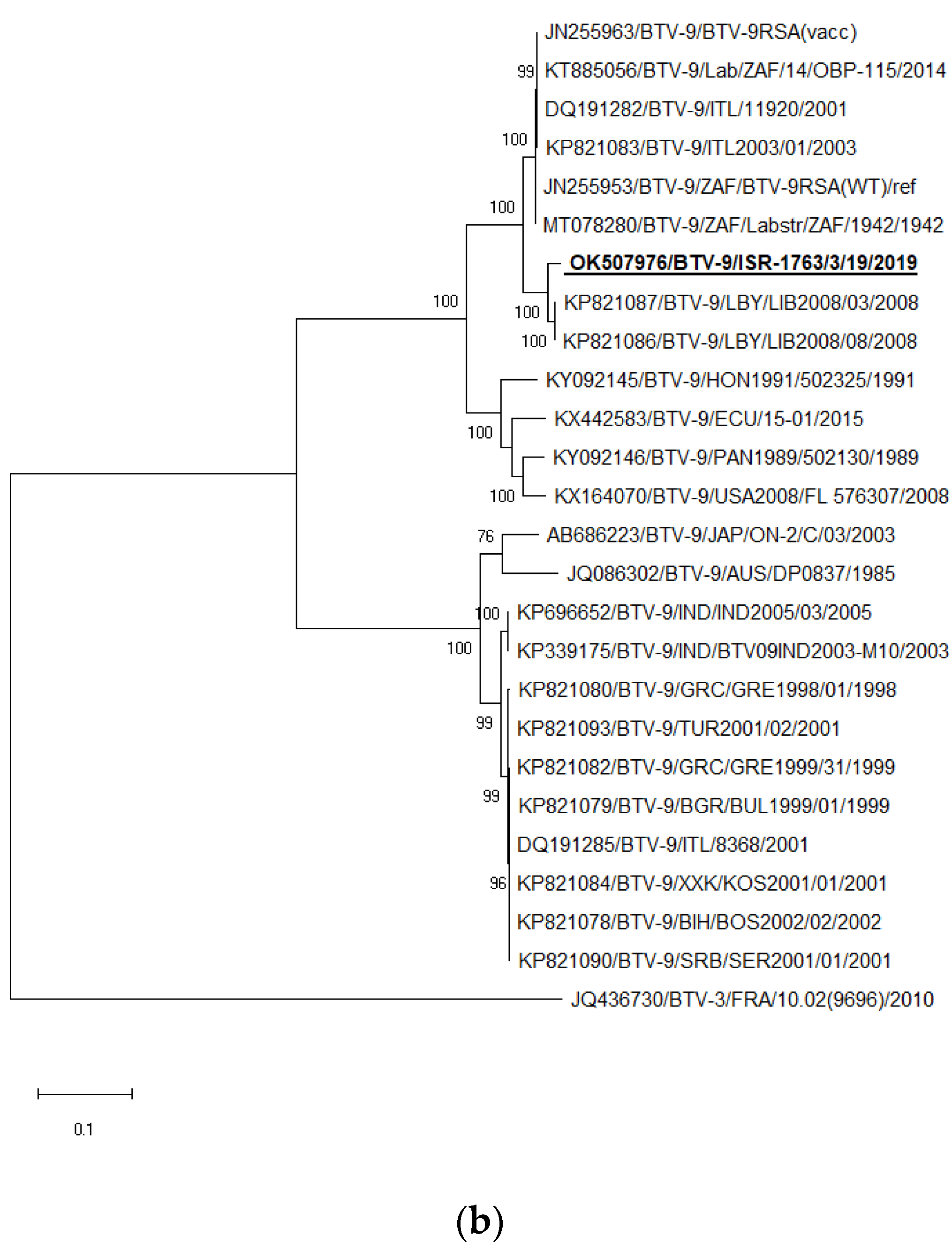 Microorganisms 11 00366 g002b Microorganisms 11 00366 g002b