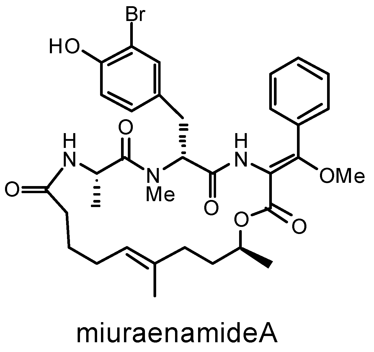 Microorganisms 11 00371 g001 Microorganisms 11 00371 g001