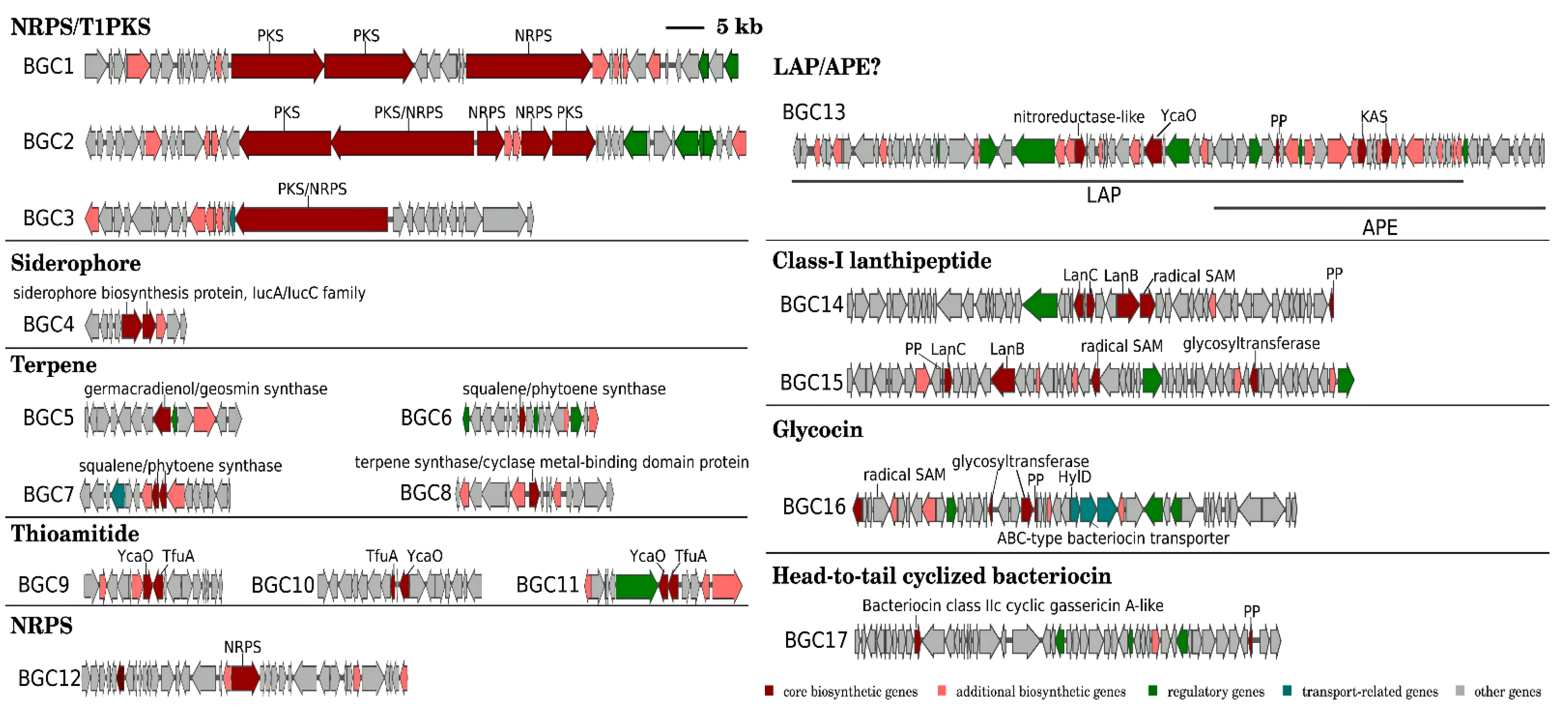 Microorganisms 11 00371 g003 Microorganisms 11 00371 g003