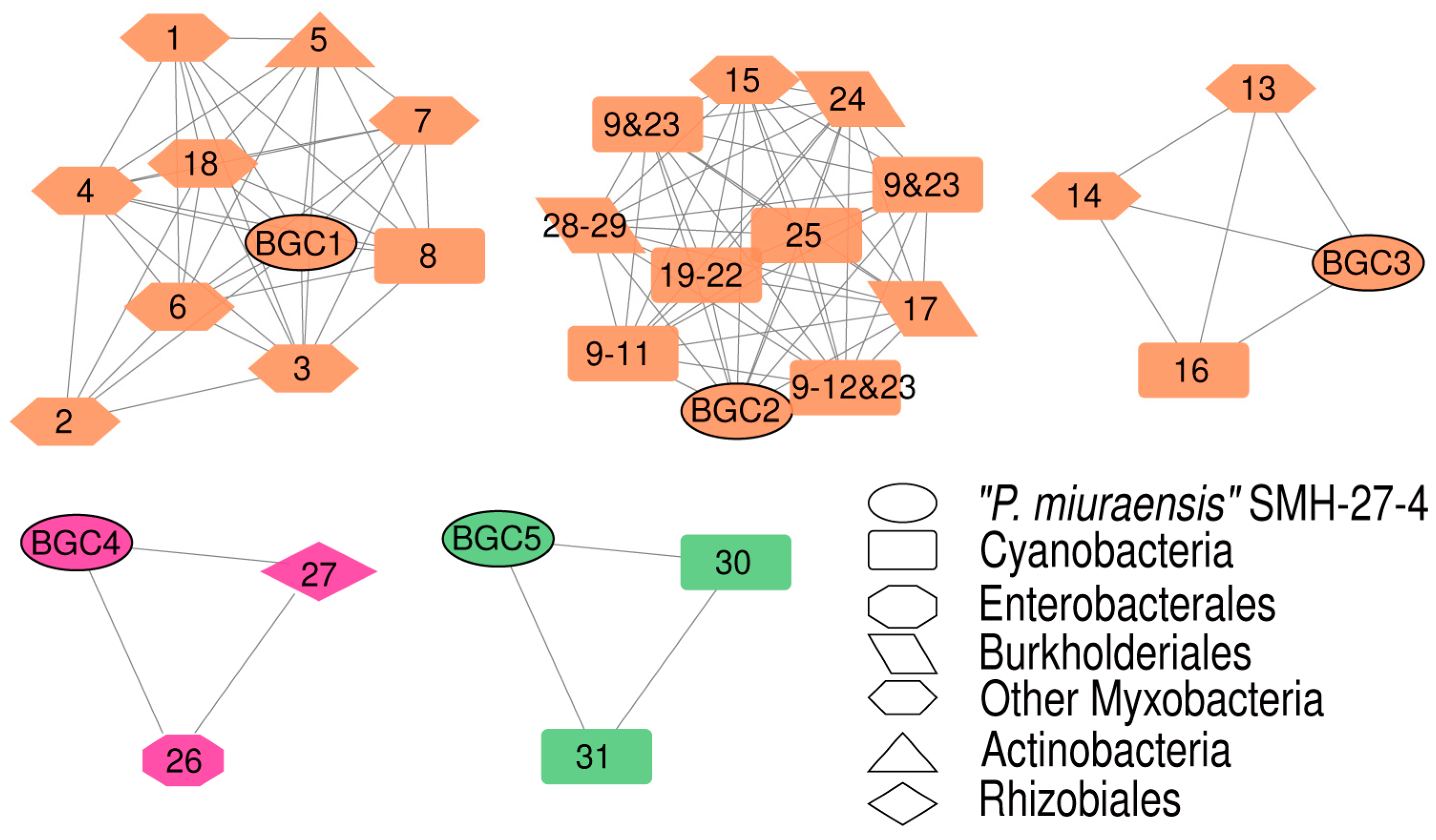 Microorganisms 11 00371 g004 Microorganisms 11 00371 g004