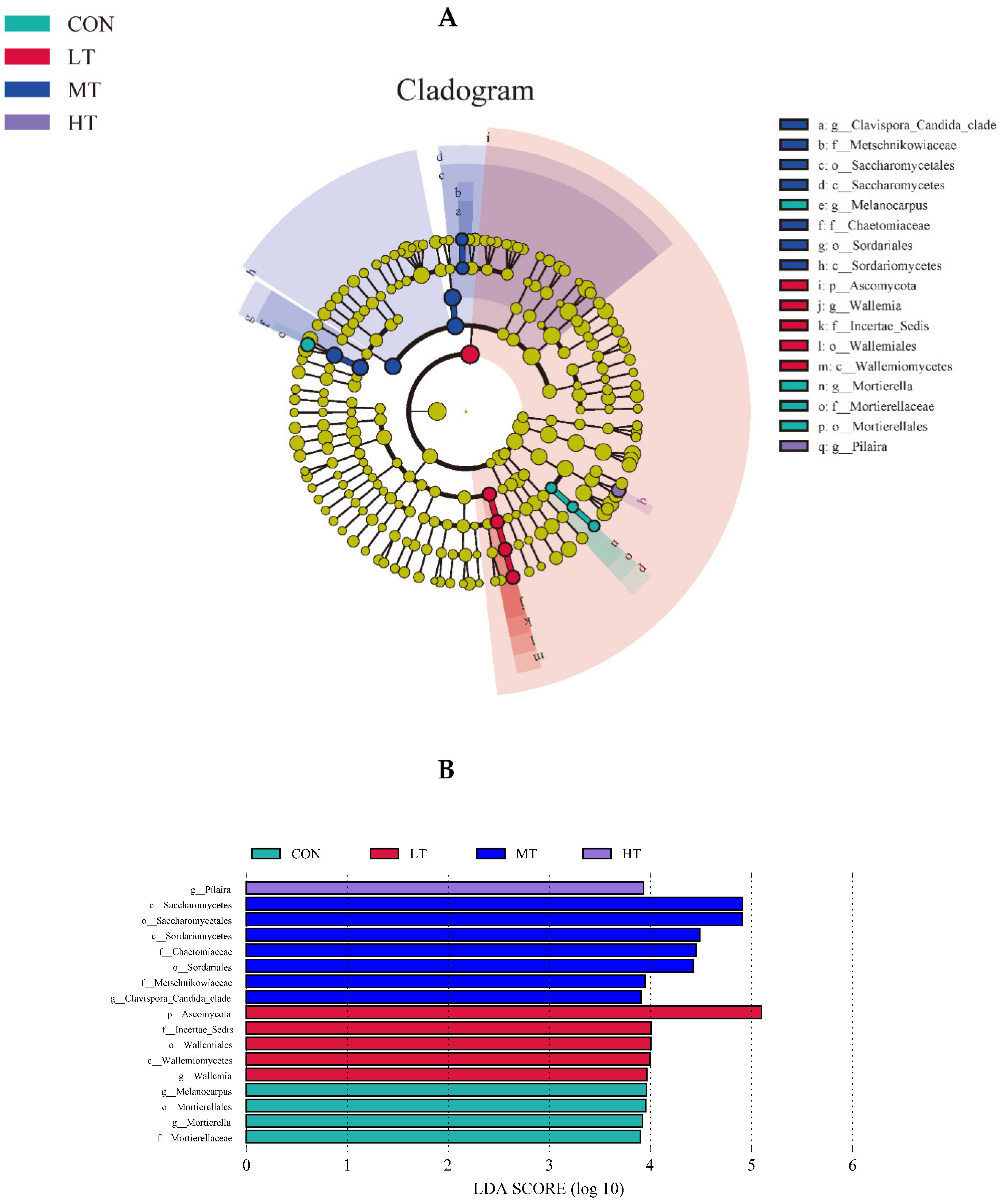 Microorganisms 11 00374 g005 Microorganisms 11 00374 g005