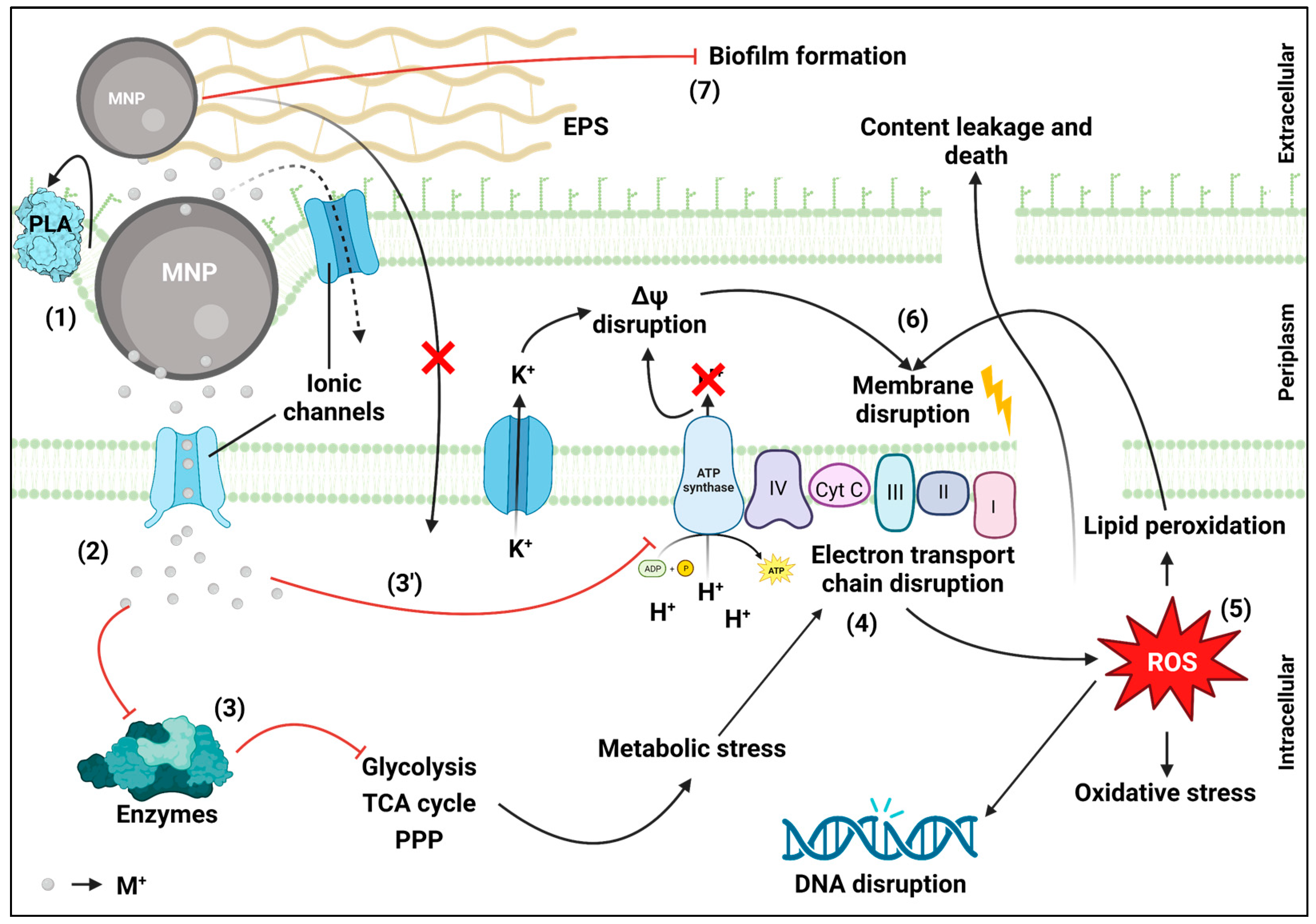 Microorganisms 11 00378 g002