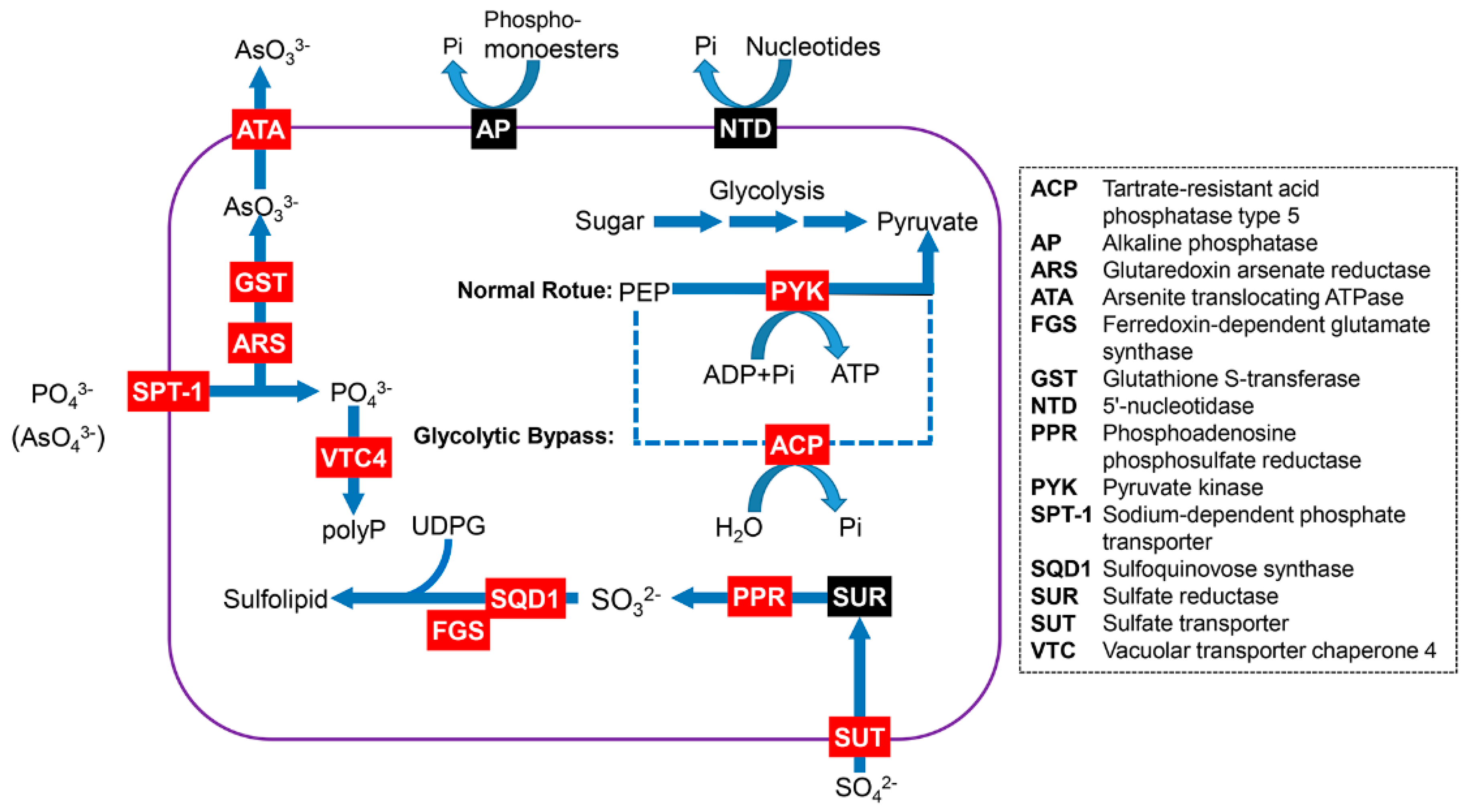 Microorganisms 11 00389 g005 Microorganisms 11 00389 g005