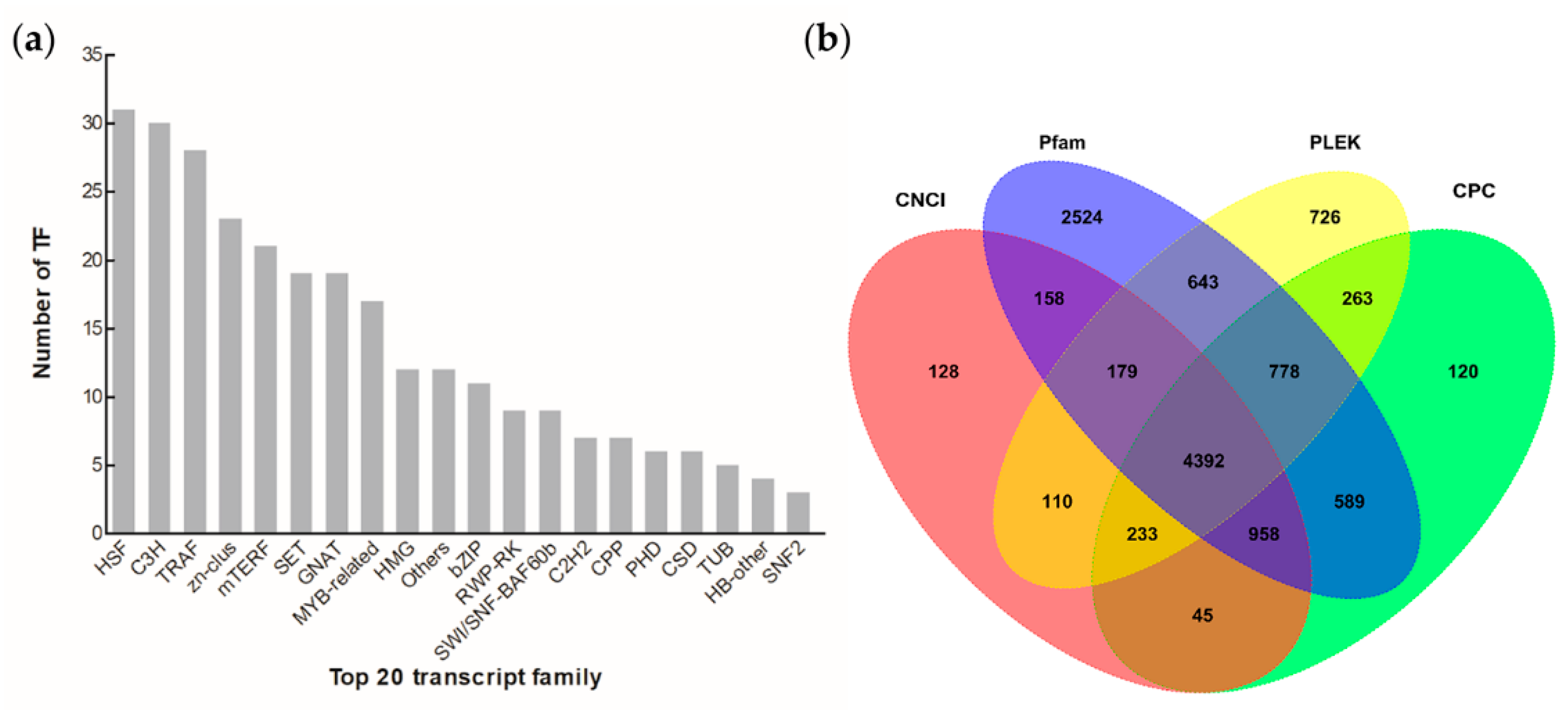 Microorganisms 11 00389 g006 Microorganisms 11 00389 g006