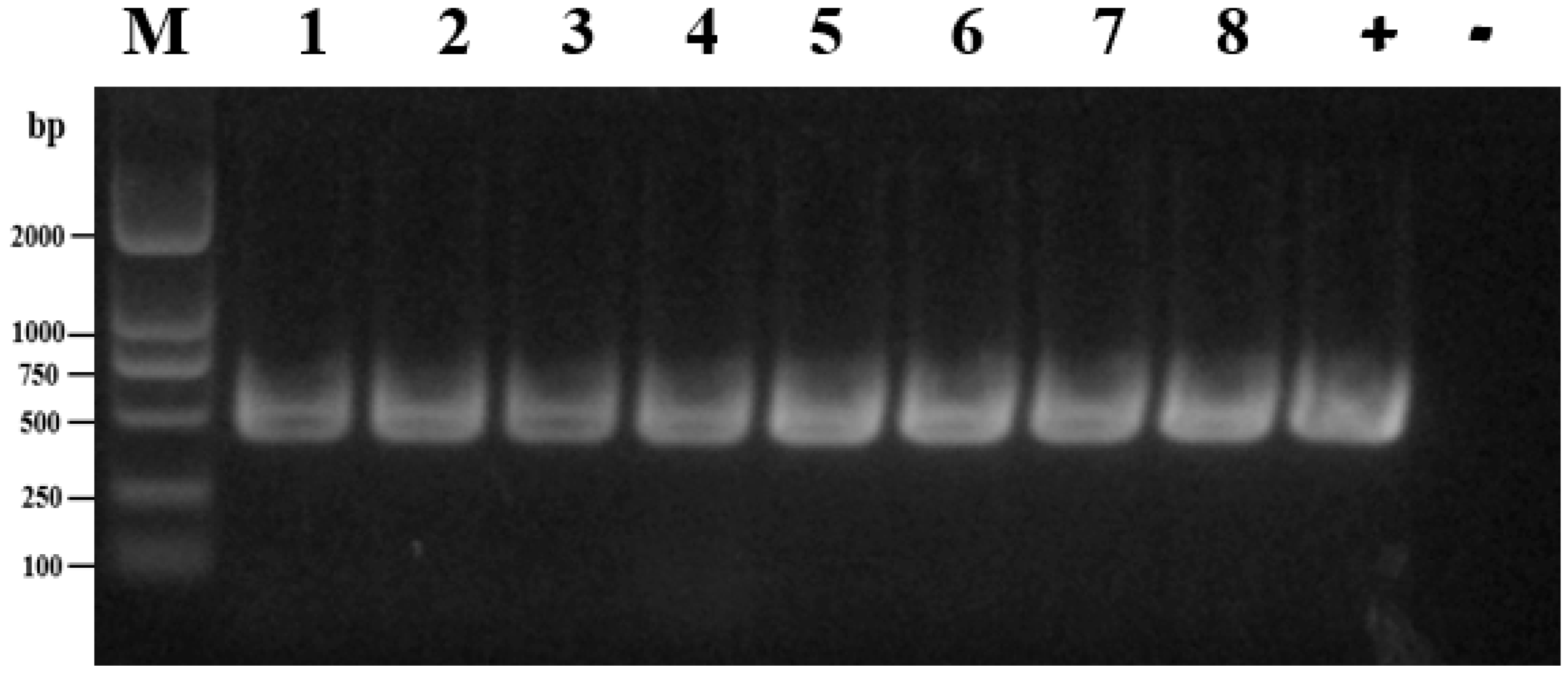 Microorganisms 11 00390 g001 Microorganisms 11 00390 g001