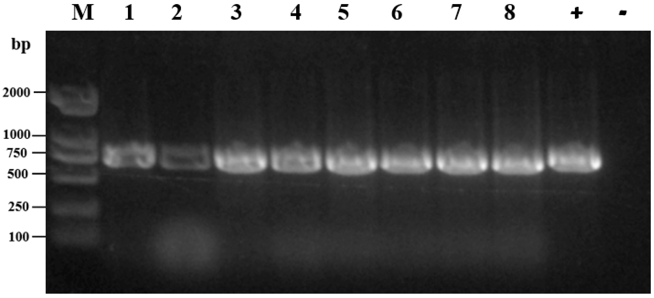 Microorganisms 11 00390 g003 Microorganisms 11 00390 g003