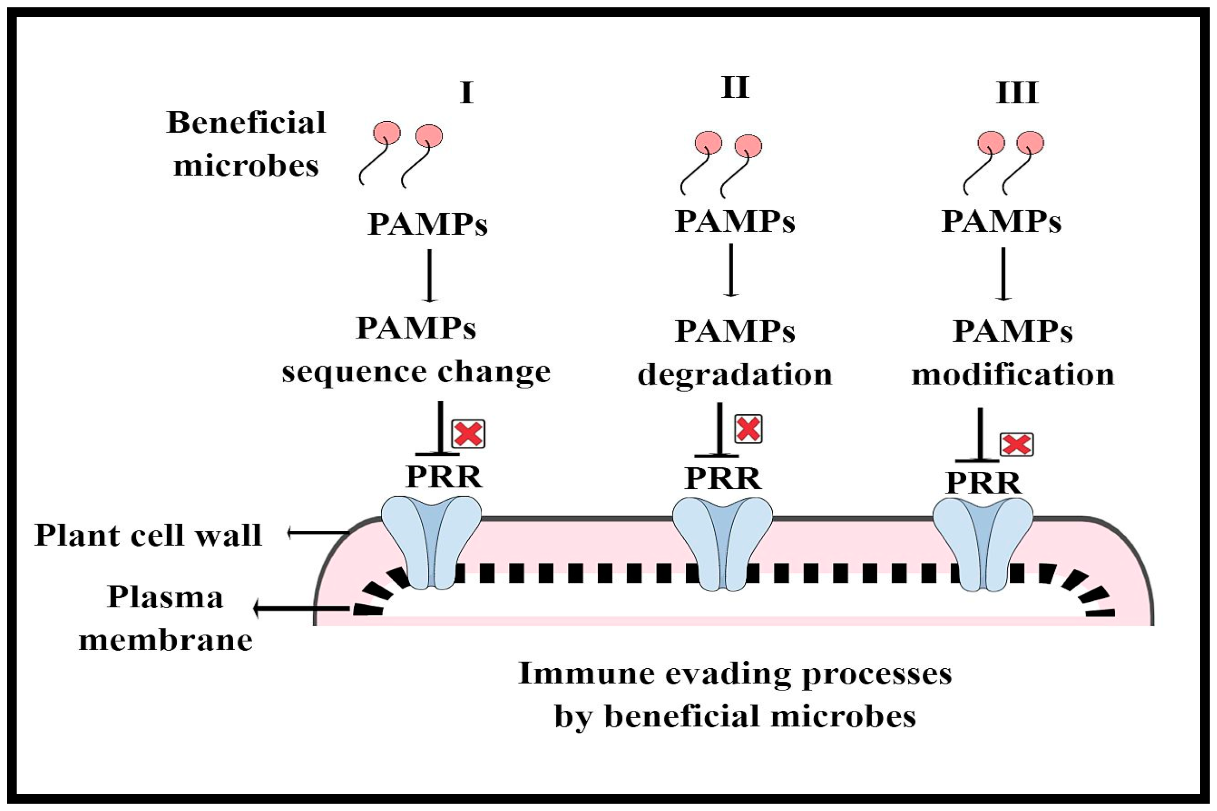 Microorganisms 11 00392 g003