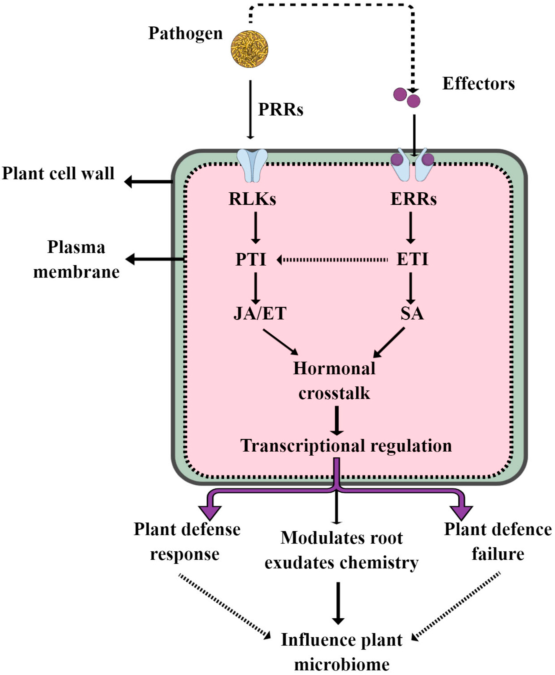 Microorganisms 11 00392 g004