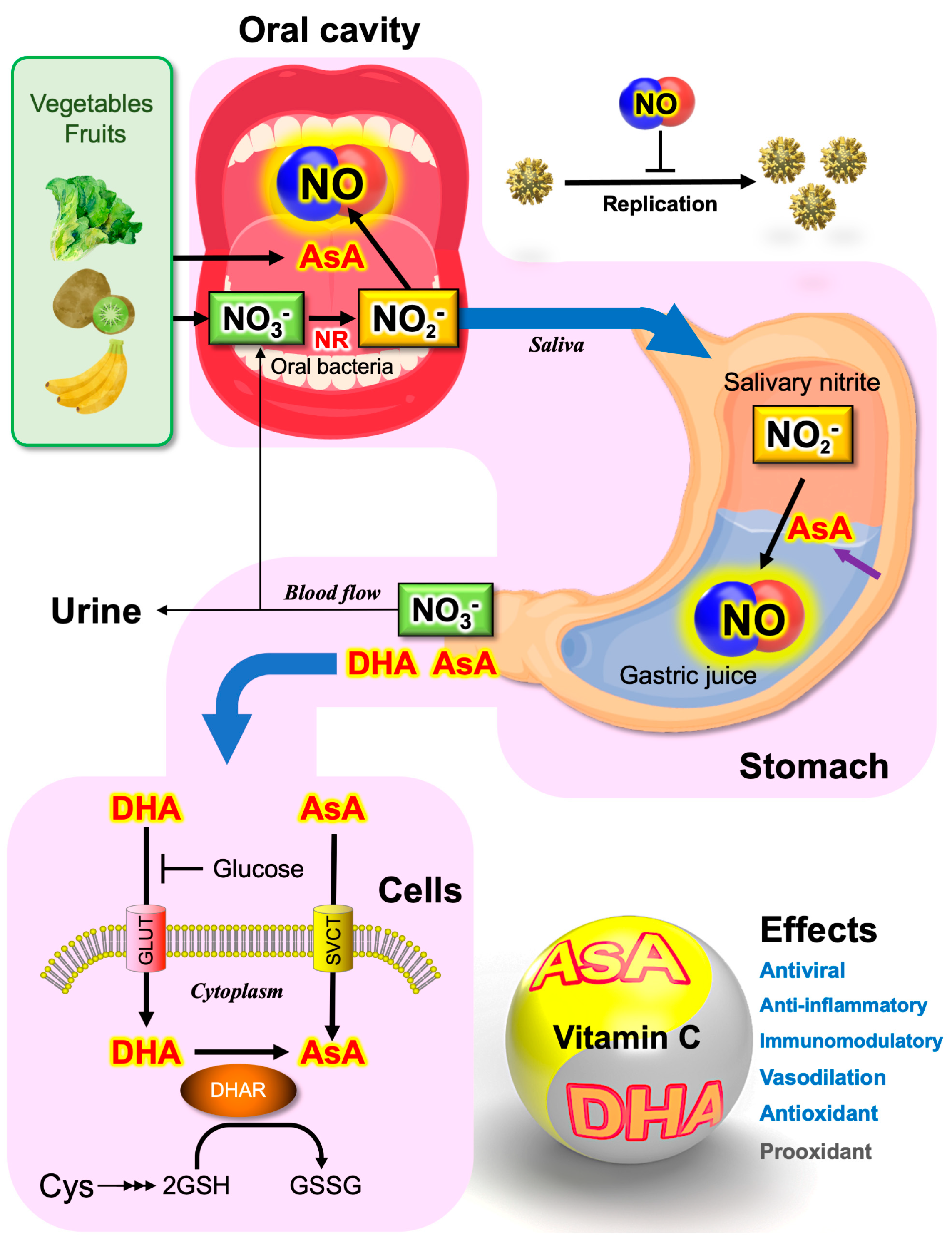 Microorganisms 11 00397 g004 Microorganisms 11 00397 g004