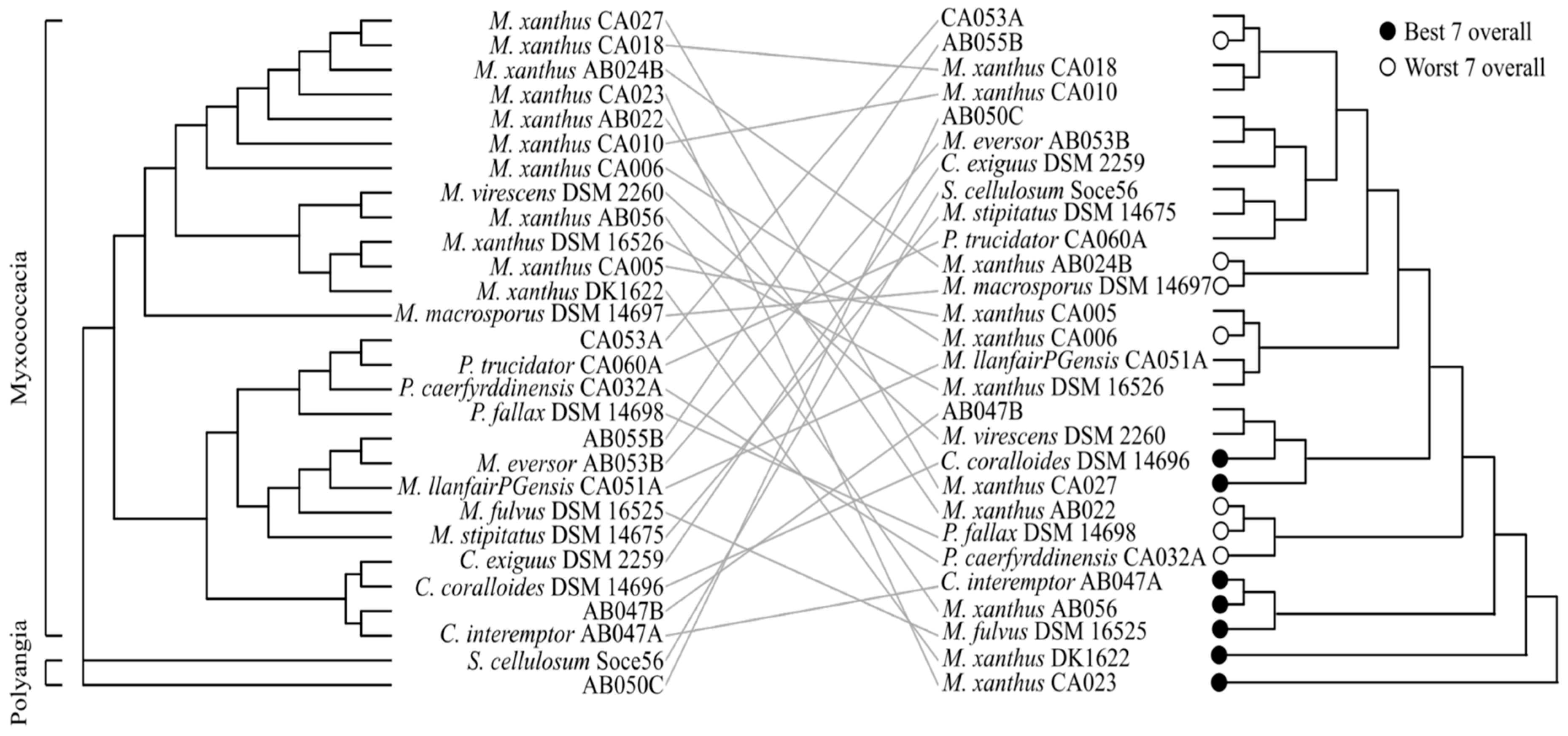 Microorganisms 11 00398 g004