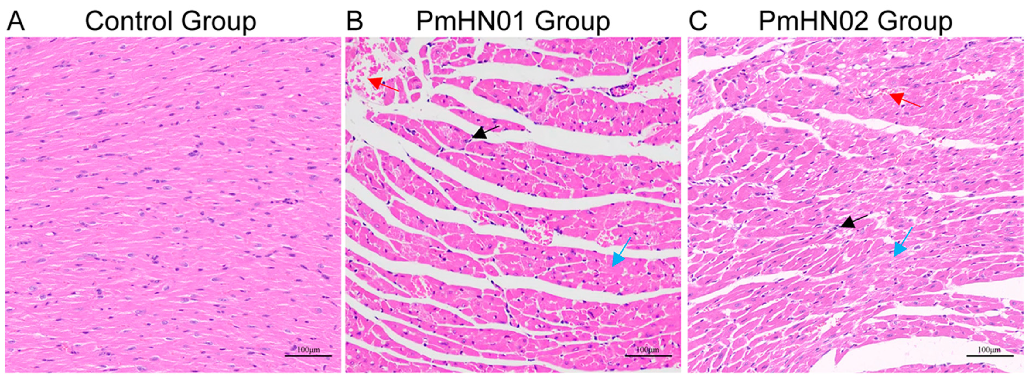 Microorganisms 11 00400 g001 Microorganisms 11 00400 g001