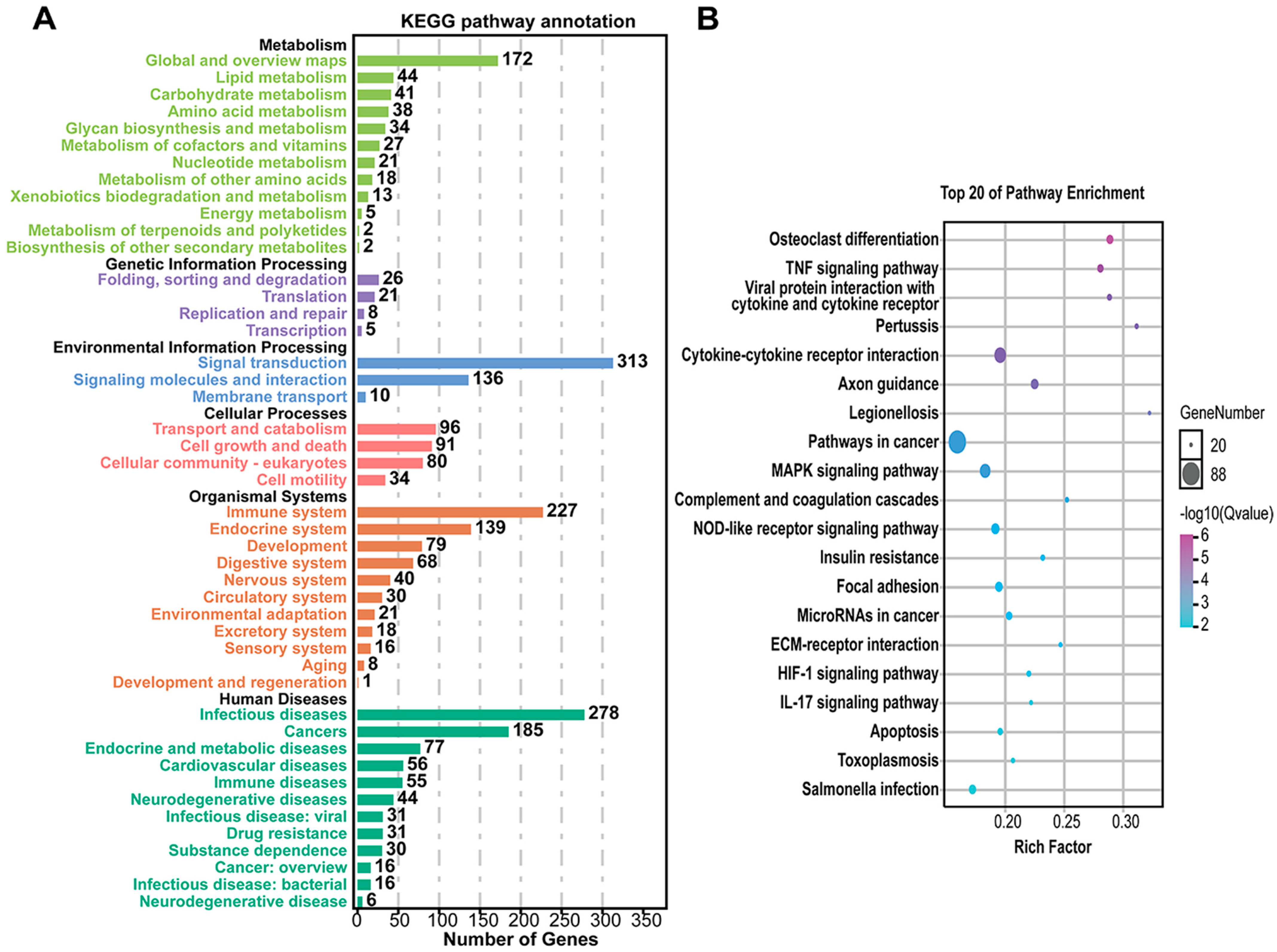 Microorganisms 11 00400 g004 Microorganisms 11 00400 g004