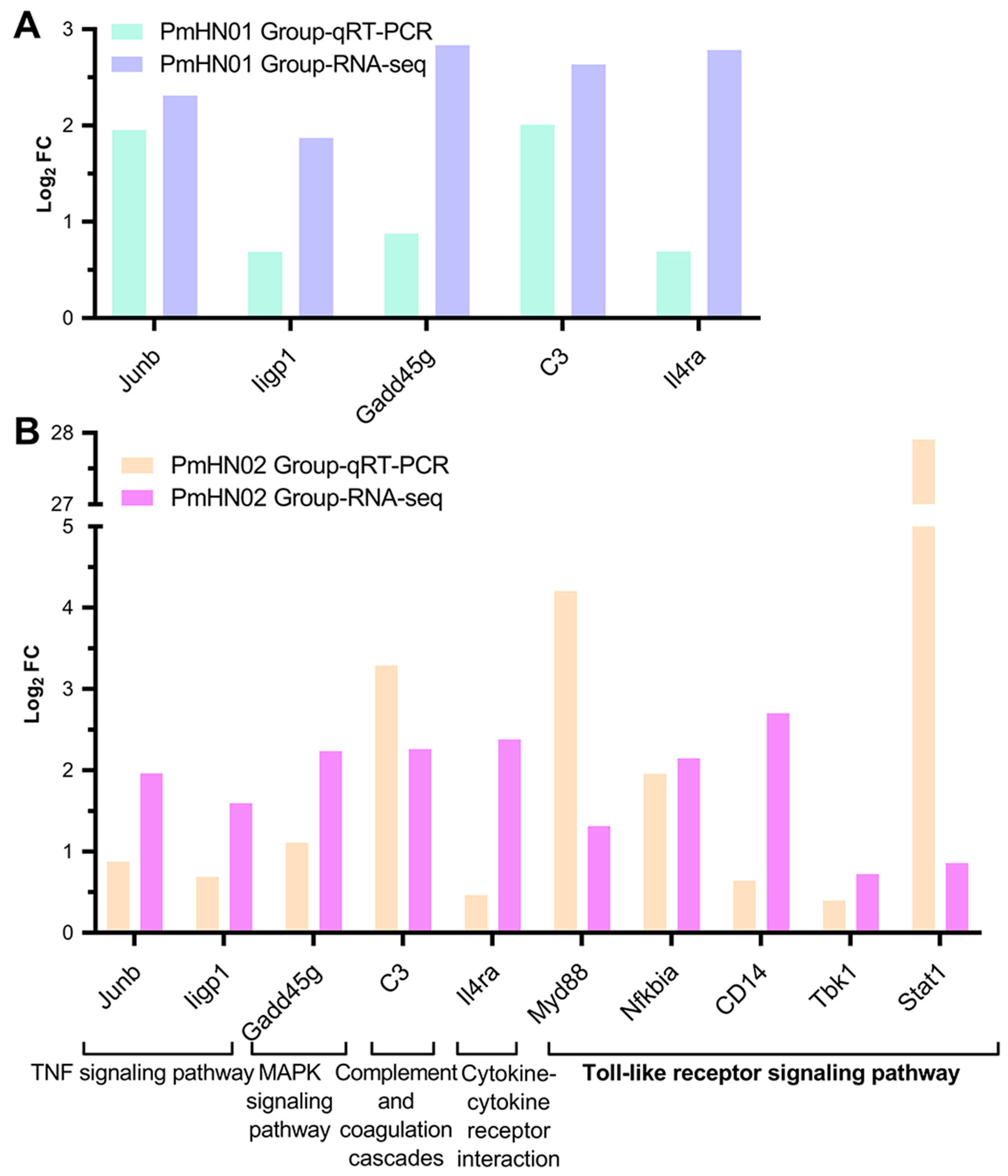 Microorganisms 11 00400 g008 Microorganisms 11 00400 g008