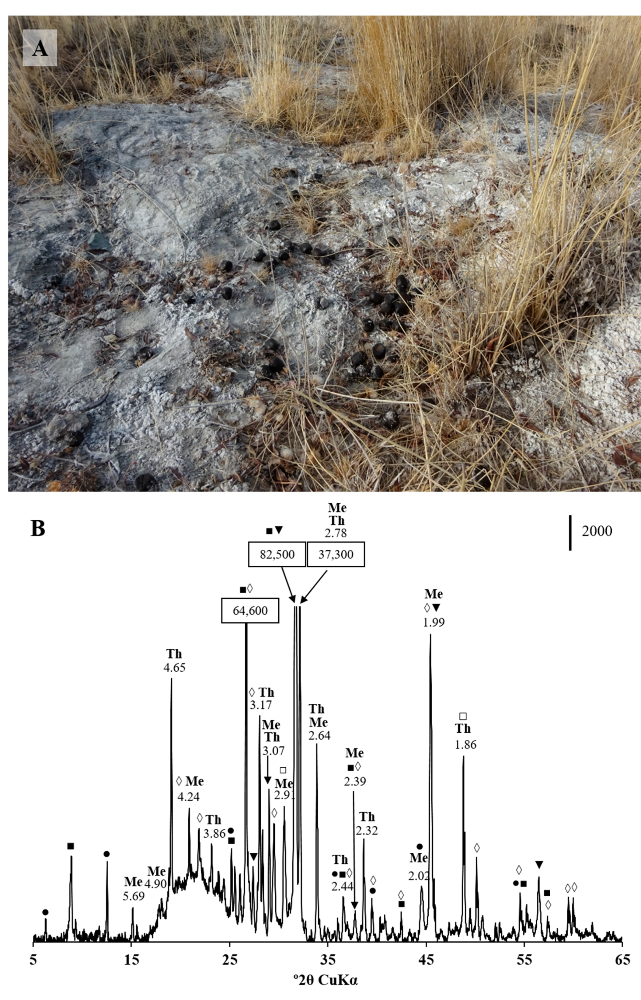 Microorganisms 11 00401 g002