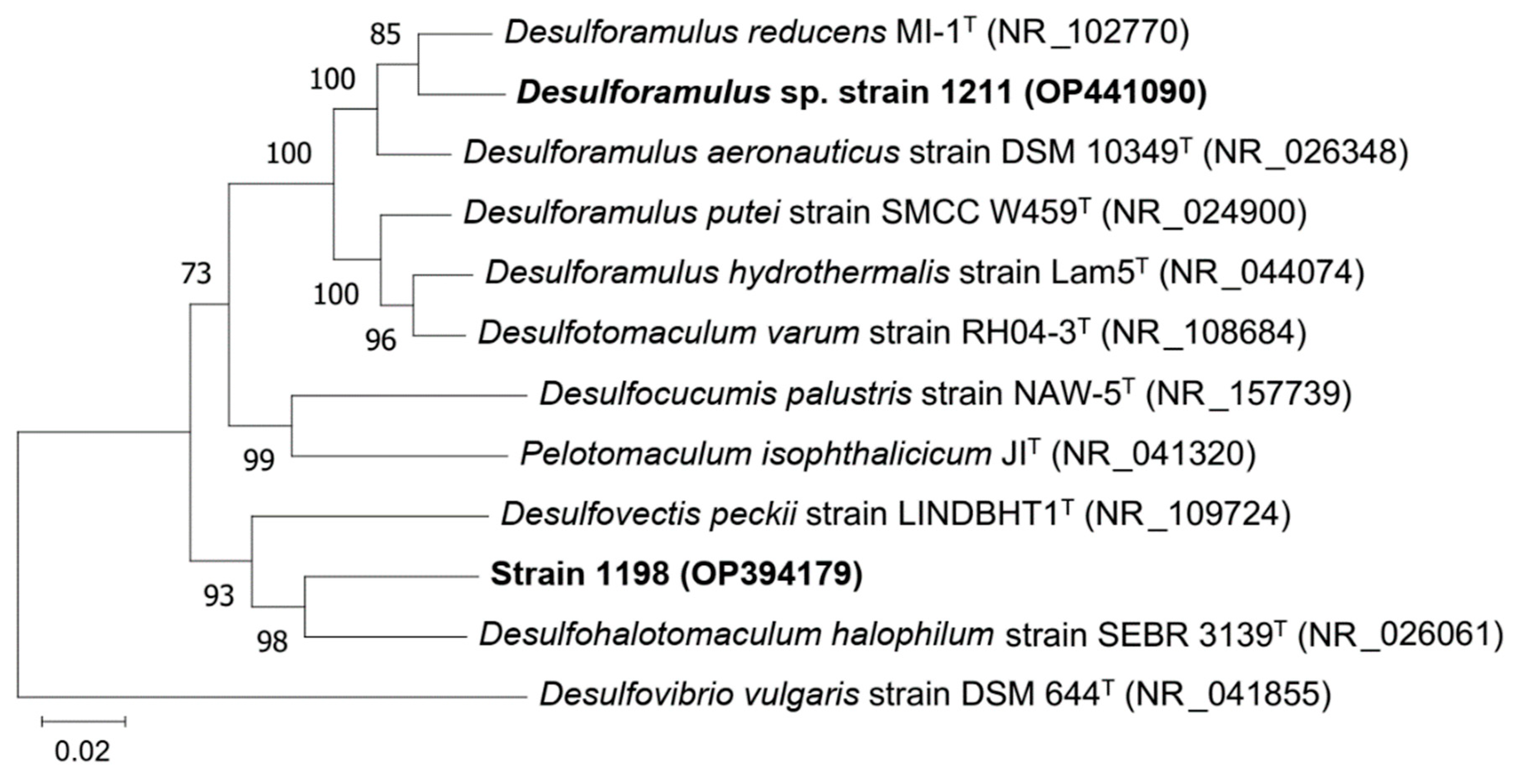 Microorganisms 11 00401 g005