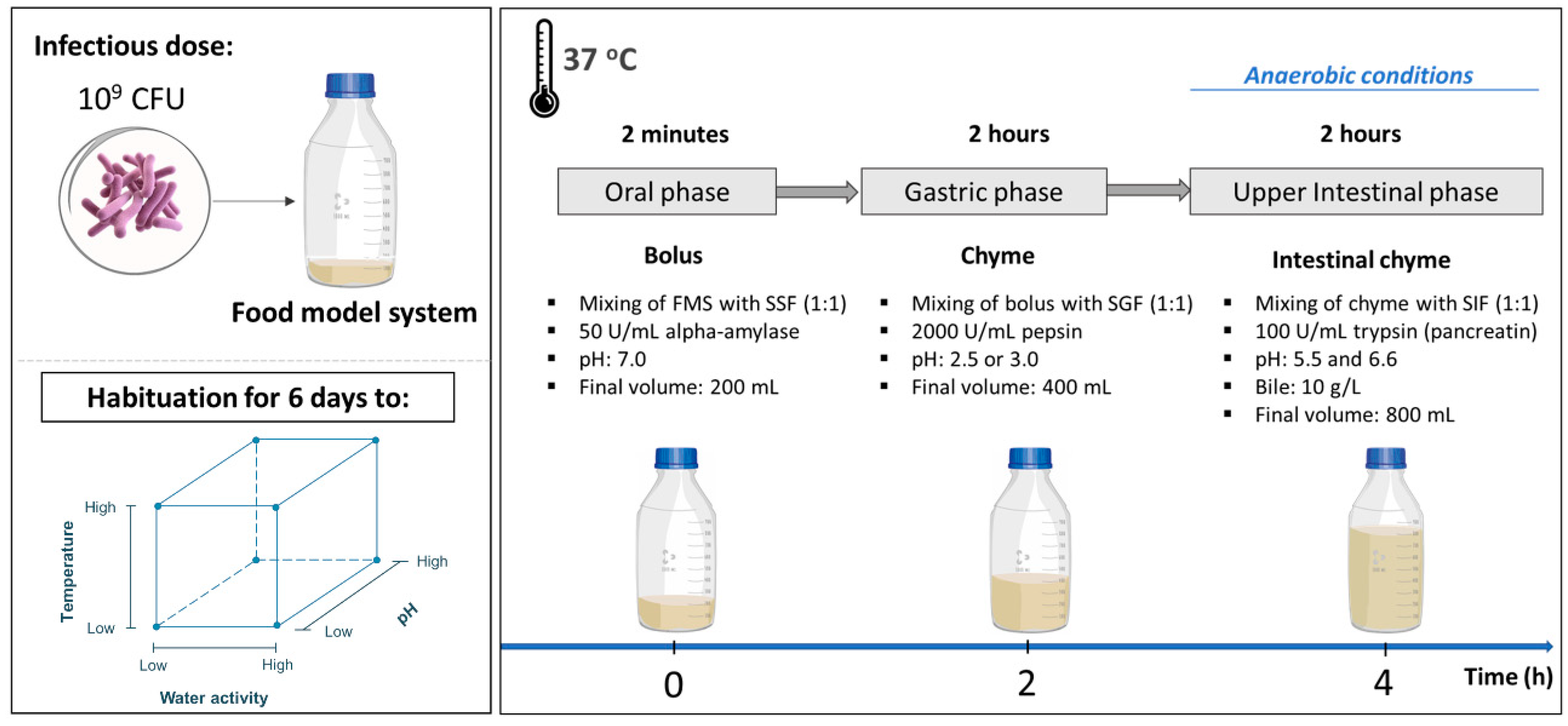 Microorganisms 11 00405 g001 Microorganisms 11 00405 g001